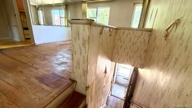 217-22 67th Avenue, New York, NY, 1 Bedroom Bedrooms, 3 Rooms Rooms,1 BathroomBathrooms,Residential,For Rent,67th,0,1004522 217-22 67th Avenue, New York, NY, 1 Bedroom Bedrooms, 3 Rooms Rooms,1 BathroomBathrooms,Residential,For Rent,67th,0,1004522