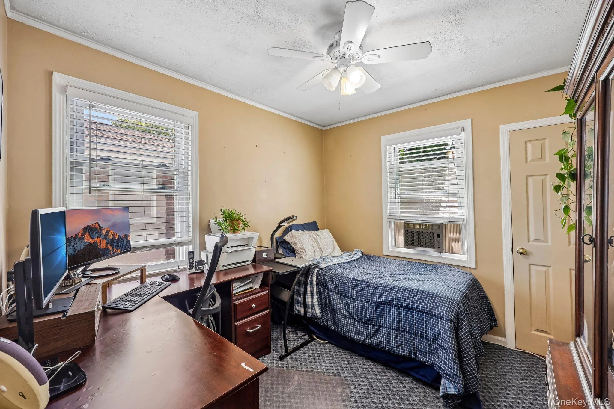 63 Kilburn Road, Hempstead, NY, 4 Bedrooms Bedrooms, 8 Rooms Rooms,3 BathroomsBathrooms,Residential,For Rent,Kilburn,0,1004584 63 Kilburn Road, Hempstead, NY, 4 Bedrooms Bedrooms, 8 Rooms Rooms,3 BathroomsBathrooms,Residential,For Rent,Kilburn,0,1004584