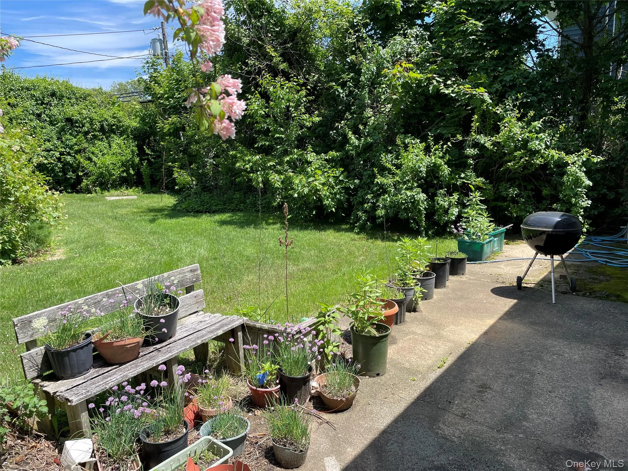 2043 Paddock Road, Oyster Bay, NY, 4 Bedrooms Bedrooms, 7 Rooms Rooms,2 BathroomsBathrooms,Residential,For Rent,Paddock,0,1004591 2043 Paddock Road, Oyster Bay, NY, 4 Bedrooms Bedrooms, 7 Rooms Rooms,2 BathroomsBathrooms,Residential,For Rent,Paddock,0,1004591