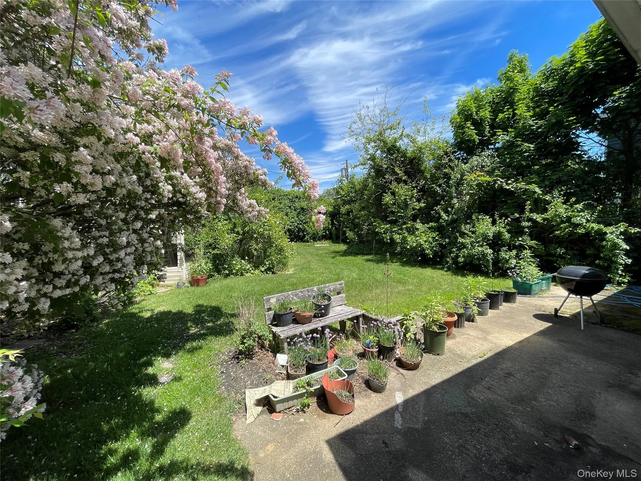 2043 Paddock Road, Oyster Bay, NY, 4 Bedrooms Bedrooms, 7 Rooms Rooms,2 BathroomsBathrooms,Residential,For Rent,Paddock,0,1004591 2043 Paddock Road, Oyster Bay, NY, 4 Bedrooms Bedrooms, 7 Rooms Rooms,2 BathroomsBathrooms,Residential,For Rent,Paddock,0,1004591