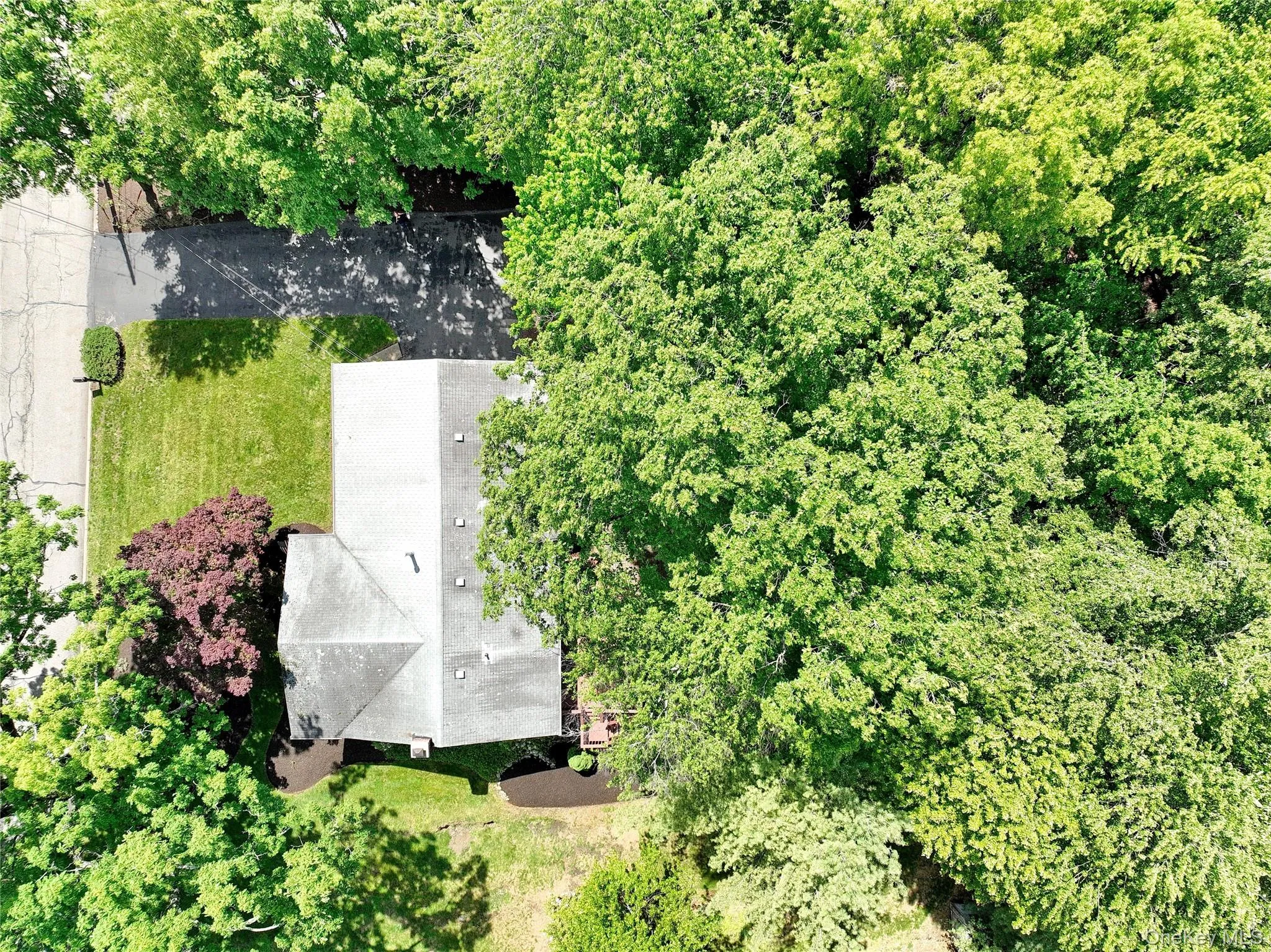 22 Sterling Road, Ramapo, NY, 4 Bedrooms Bedrooms, 9 Rooms Rooms,2 BathroomsBathrooms,Residential,For Rent,Sterling,0,1004623 22 Sterling Road, Ramapo, NY, 4 Bedrooms Bedrooms, 9 Rooms Rooms,2 BathroomsBathrooms,Residential,For Rent,Sterling,0,1004623
