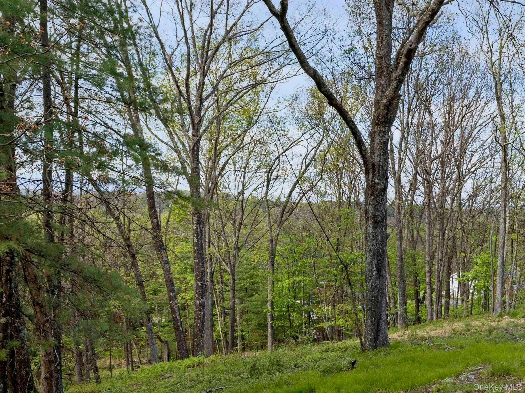 Tbd Route 44/55, Wawarsing, NY, ,Land,For Rent,Route 44/55,0,1004643 Tbd Route 44/55, Wawarsing, NY, ,Land,For Rent,Route 44/55,0,1004643