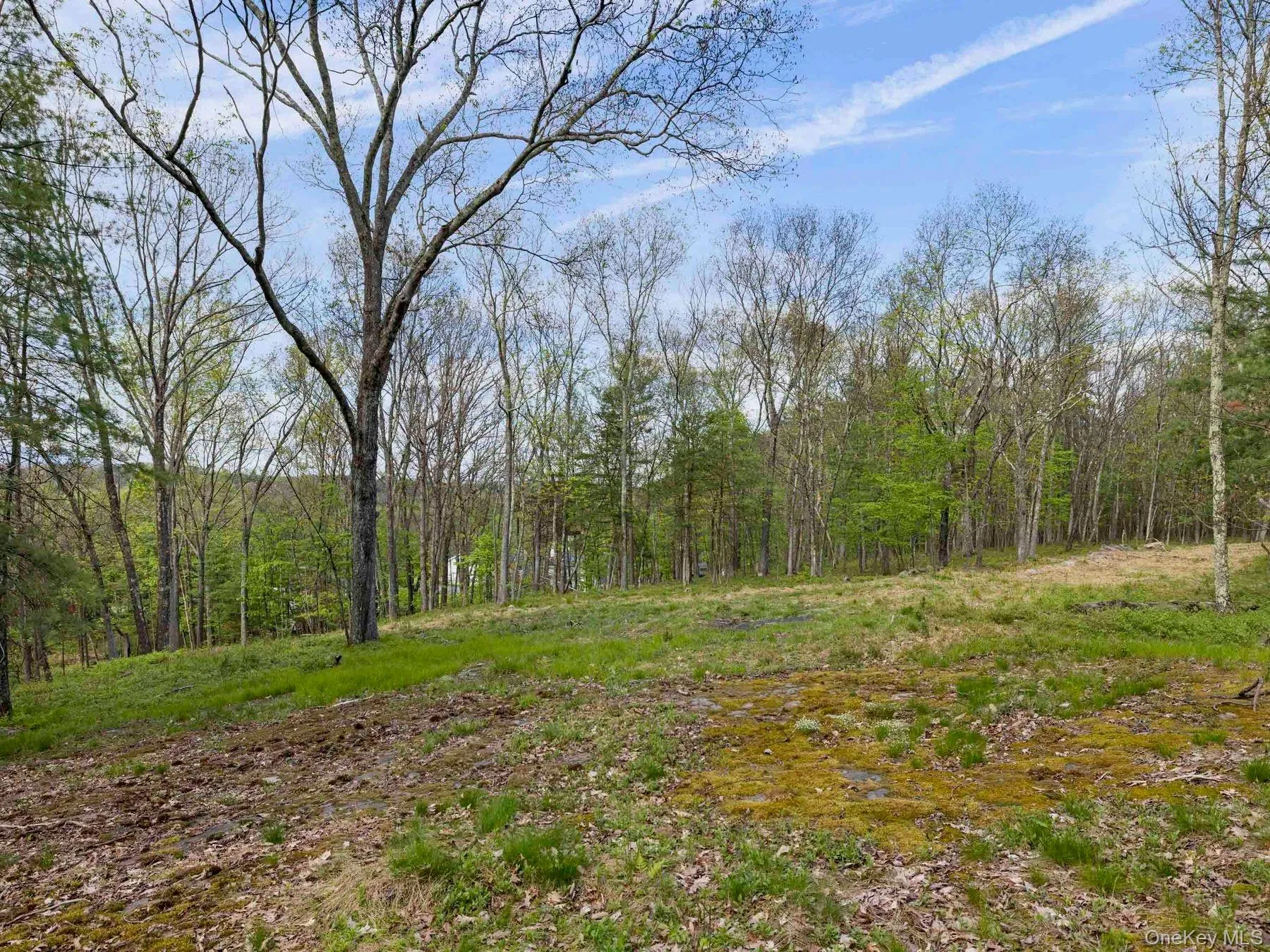 Tbd Route 44/55, Wawarsing, NY, ,Land,For Rent,Route 44/55,0,1004643 Tbd Route 44/55, Wawarsing, NY, ,Land,For Rent,Route 44/55,0,1004643