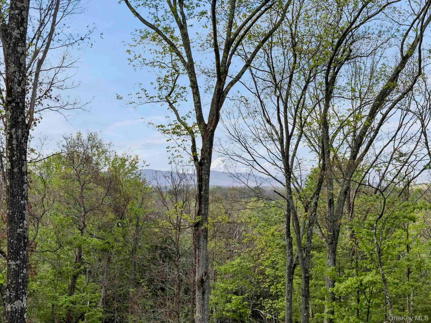 Tbd Route 44/55, Wawarsing, NY, ,Land,For Rent,Route 44/55,0,1004643 Tbd Route 44/55, Wawarsing, NY, ,Land,For Rent,Route 44/55,0,1004643