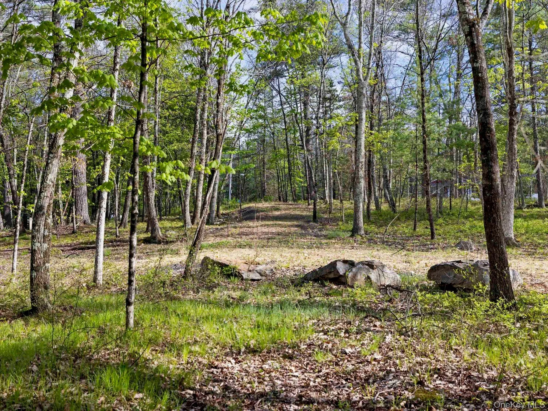 Tbd Route 44/55, Wawarsing, NY, ,Land,For Rent,Route 44/55,0,1004643 Tbd Route 44/55, Wawarsing, NY, ,Land,For Rent,Route 44/55,0,1004643