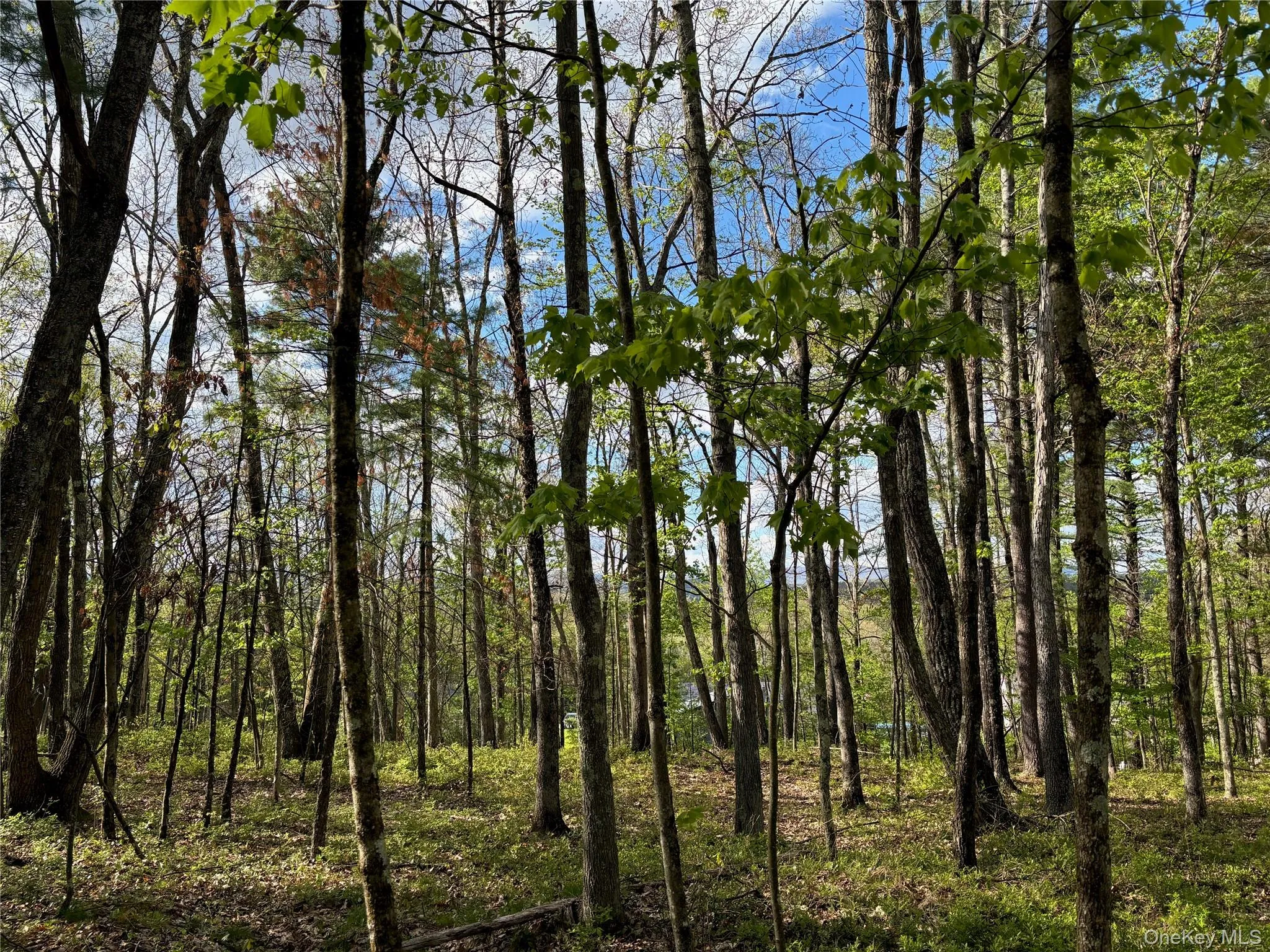 Tbd Route 44/55, Wawarsing, NY, ,Land,For Rent,Route 44/55,0,1004643 Tbd Route 44/55, Wawarsing, NY, ,Land,For Rent,Route 44/55,0,1004643