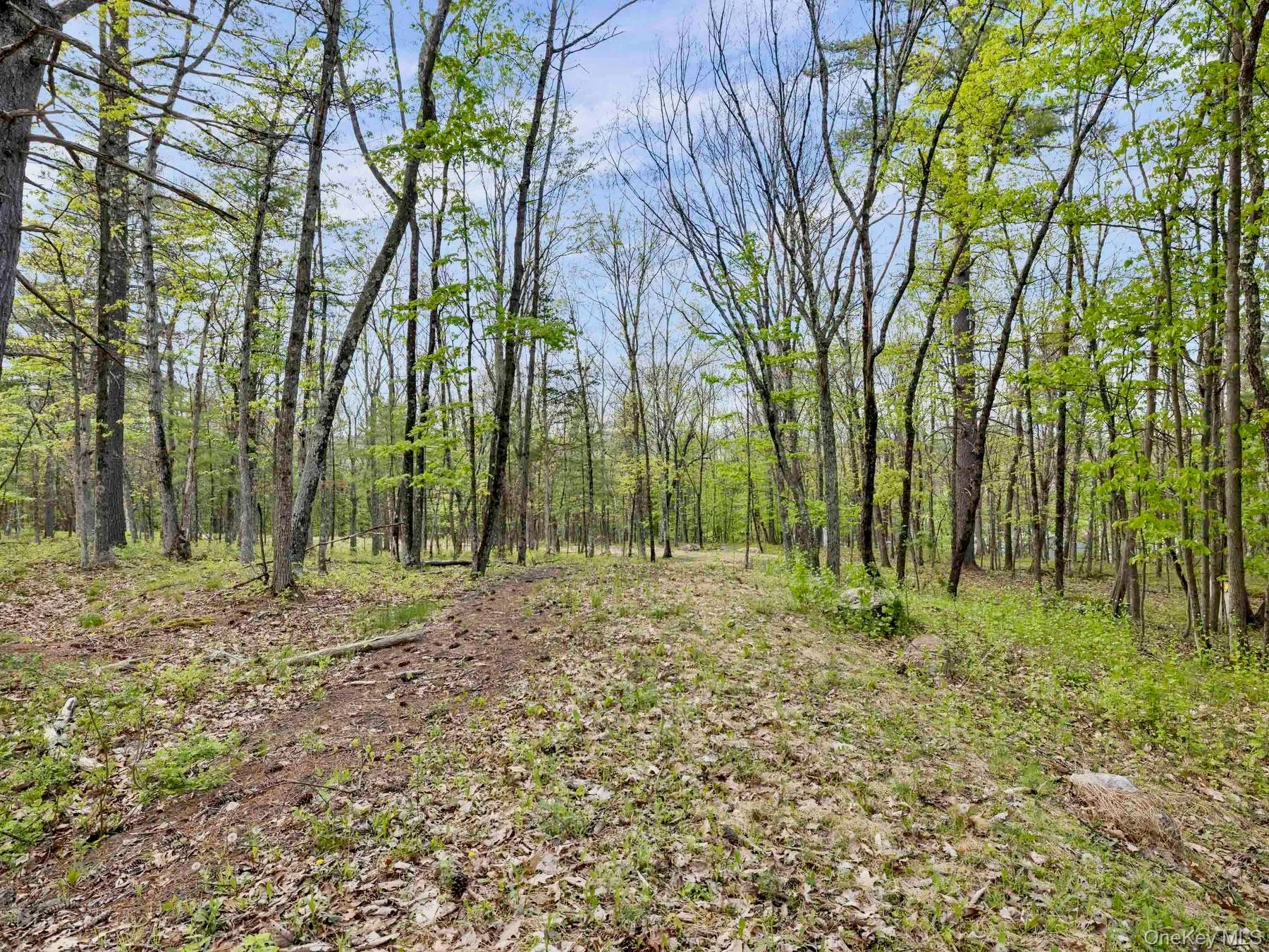 Tbd Route 44/55, Wawarsing, NY, ,Land,For Rent,Route 44/55,0,1004643 Tbd Route 44/55, Wawarsing, NY, ,Land,For Rent,Route 44/55,0,1004643