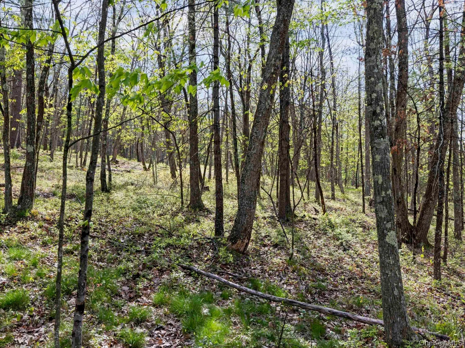 Tbd Route 44/55, Wawarsing, NY, ,Land,For Rent,Route 44/55,0,1004643 Tbd Route 44/55, Wawarsing, NY, ,Land,For Rent,Route 44/55,0,1004643