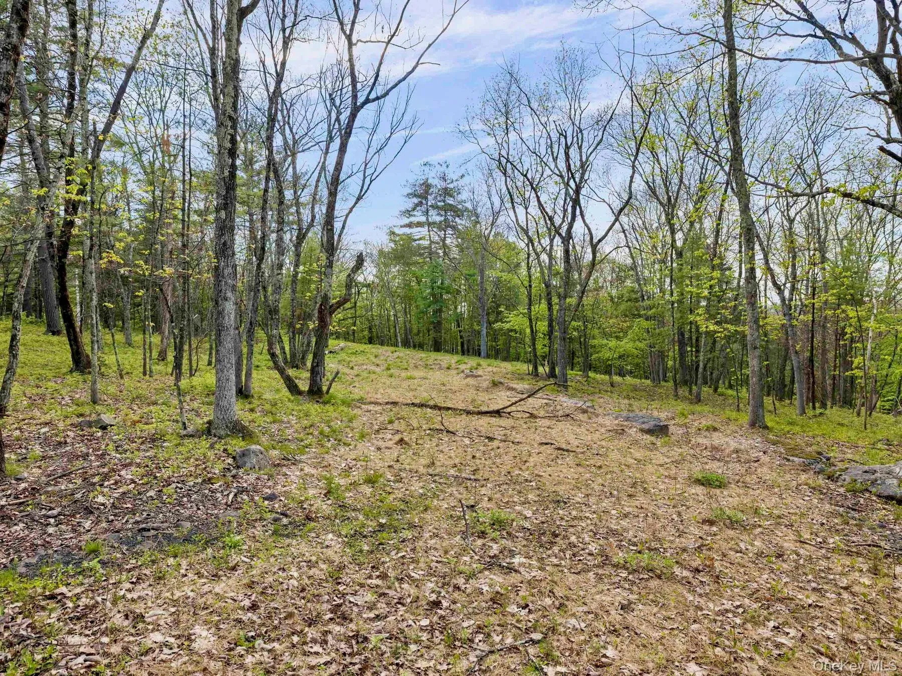 Tbd Route 44/55, Wawarsing, NY, ,Land,For Rent,Route 44/55,0,1004643 Tbd Route 44/55, Wawarsing, NY, ,Land,For Rent,Route 44/55,0,1004643