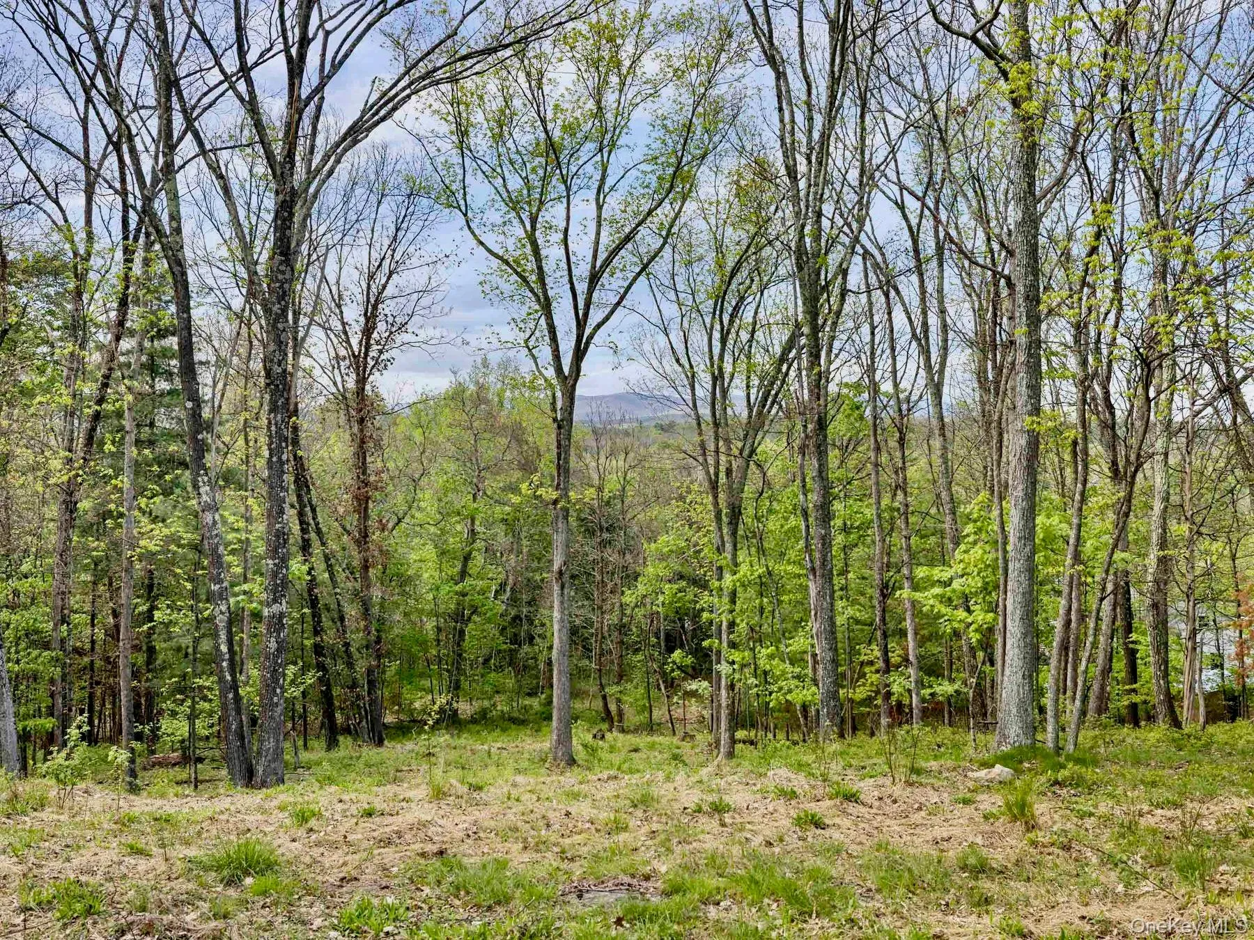 Tbd Route 44/55, Wawarsing, NY, ,Land,For Rent,Route 44/55,0,1004643 Tbd Route 44/55, Wawarsing, NY, ,Land,For Rent,Route 44/55,0,1004643