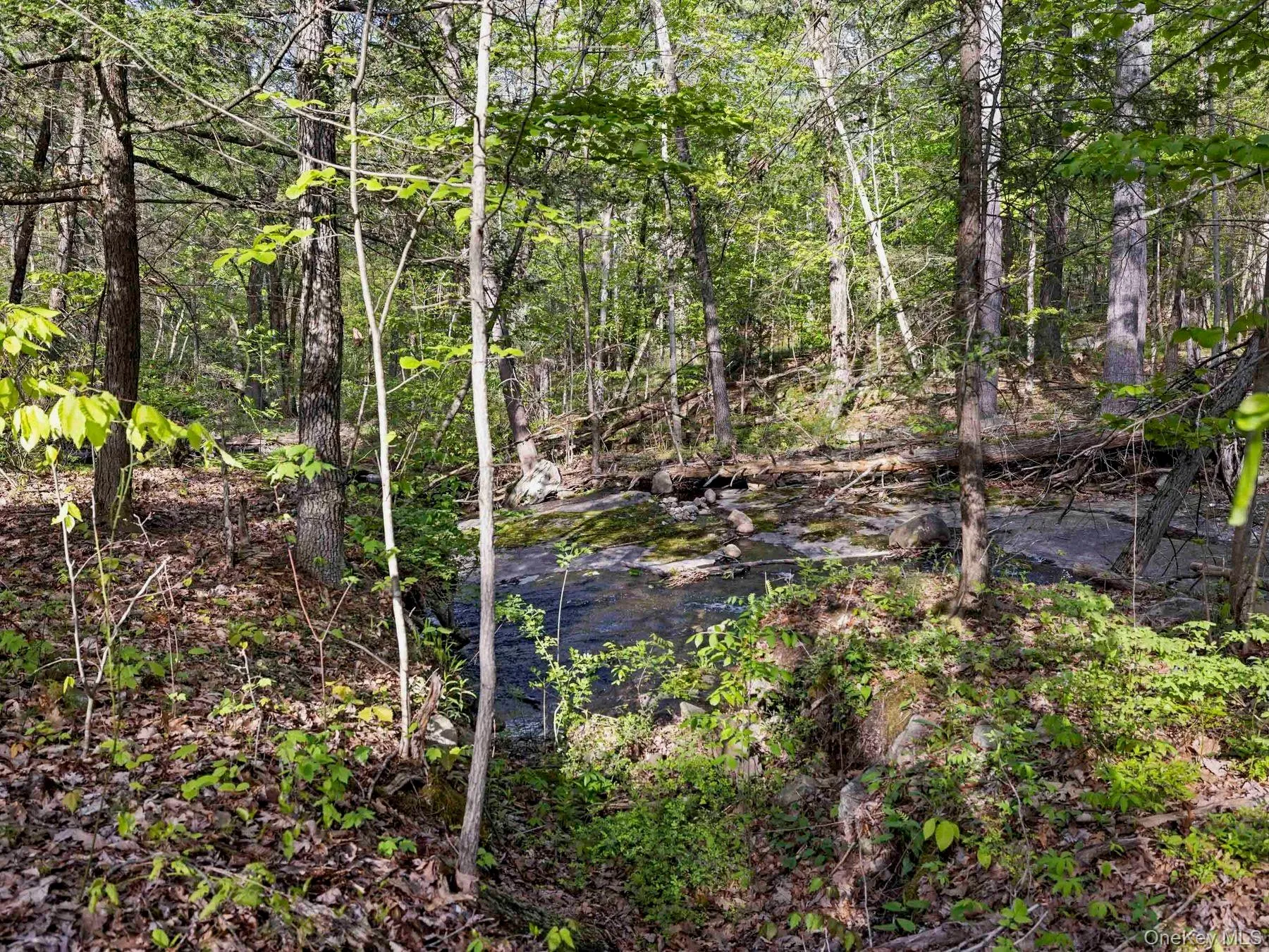 Tbd Route 44/55, Wawarsing, NY, ,Land,For Rent,Route 44/55,0,1004643 Tbd Route 44/55, Wawarsing, NY, ,Land,For Rent,Route 44/55,0,1004643