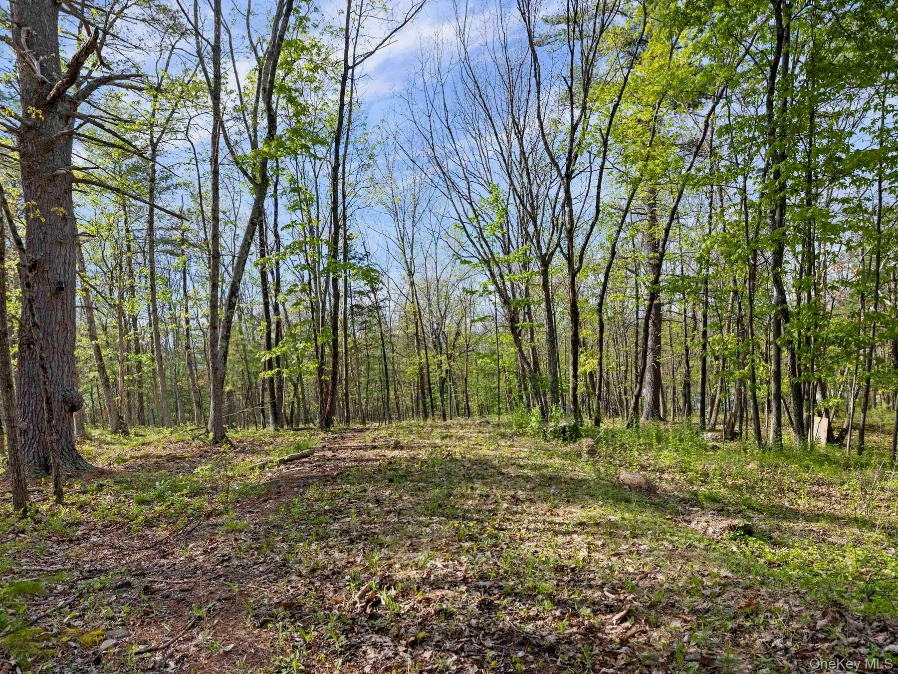 Tbd Route 44/55, Wawarsing, NY, ,Land,For Rent,Route 44/55,0,1004643 Tbd Route 44/55, Wawarsing, NY, ,Land,For Rent,Route 44/55,0,1004643