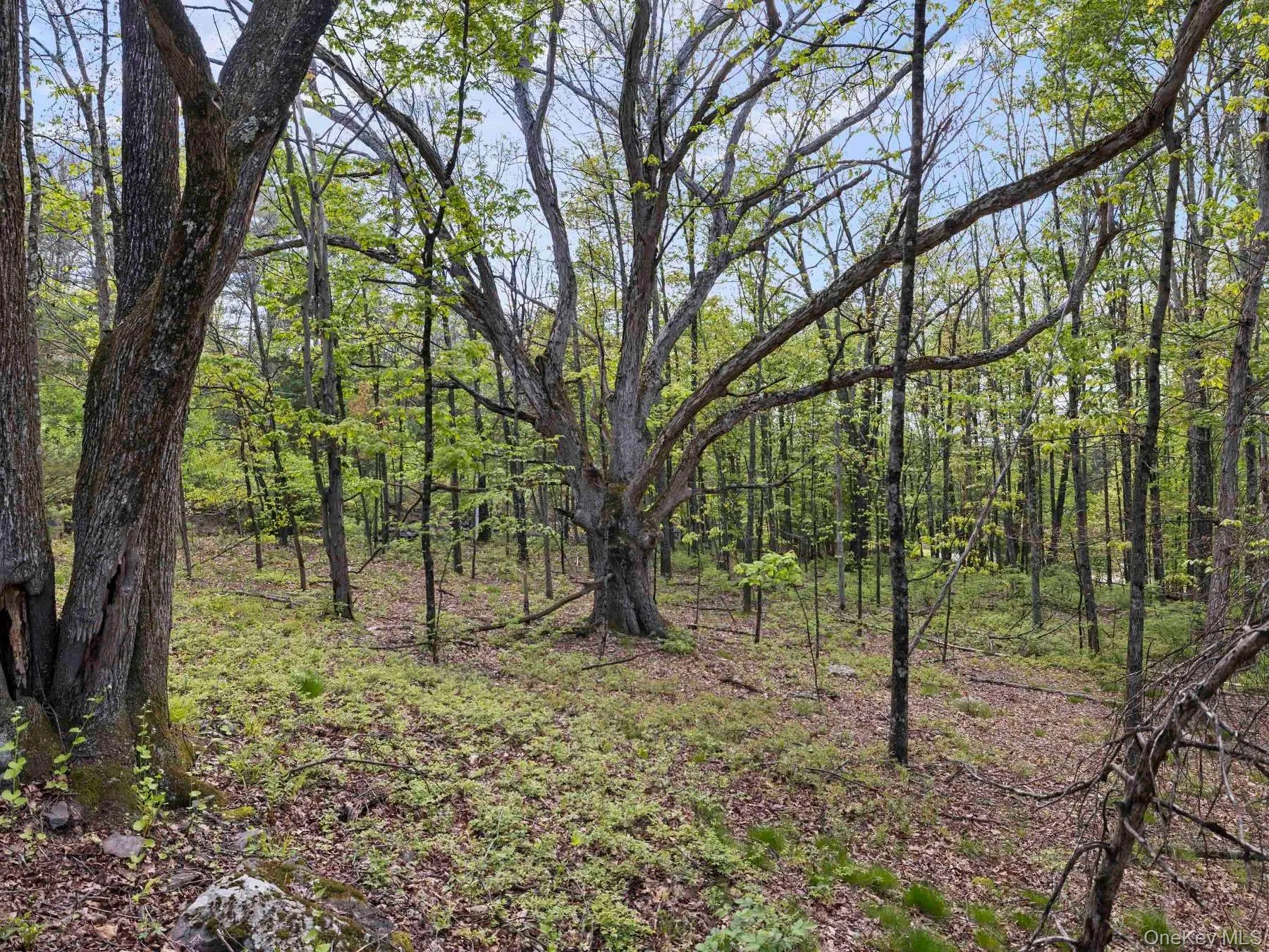 Tbd Route 44/55, Wawarsing, NY, ,Land,For Rent,Route 44/55,0,1004643 Tbd Route 44/55, Wawarsing, NY, ,Land,For Rent,Route 44/55,0,1004643