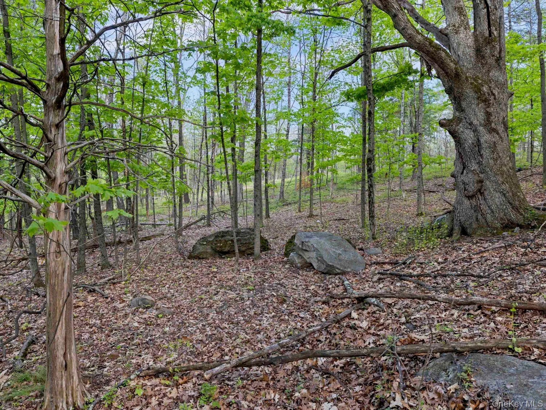 Tbd Route 44/55, Wawarsing, NY, ,Land,For Rent,Route 44/55,0,1004643 Tbd Route 44/55, Wawarsing, NY, ,Land,For Rent,Route 44/55,0,1004643