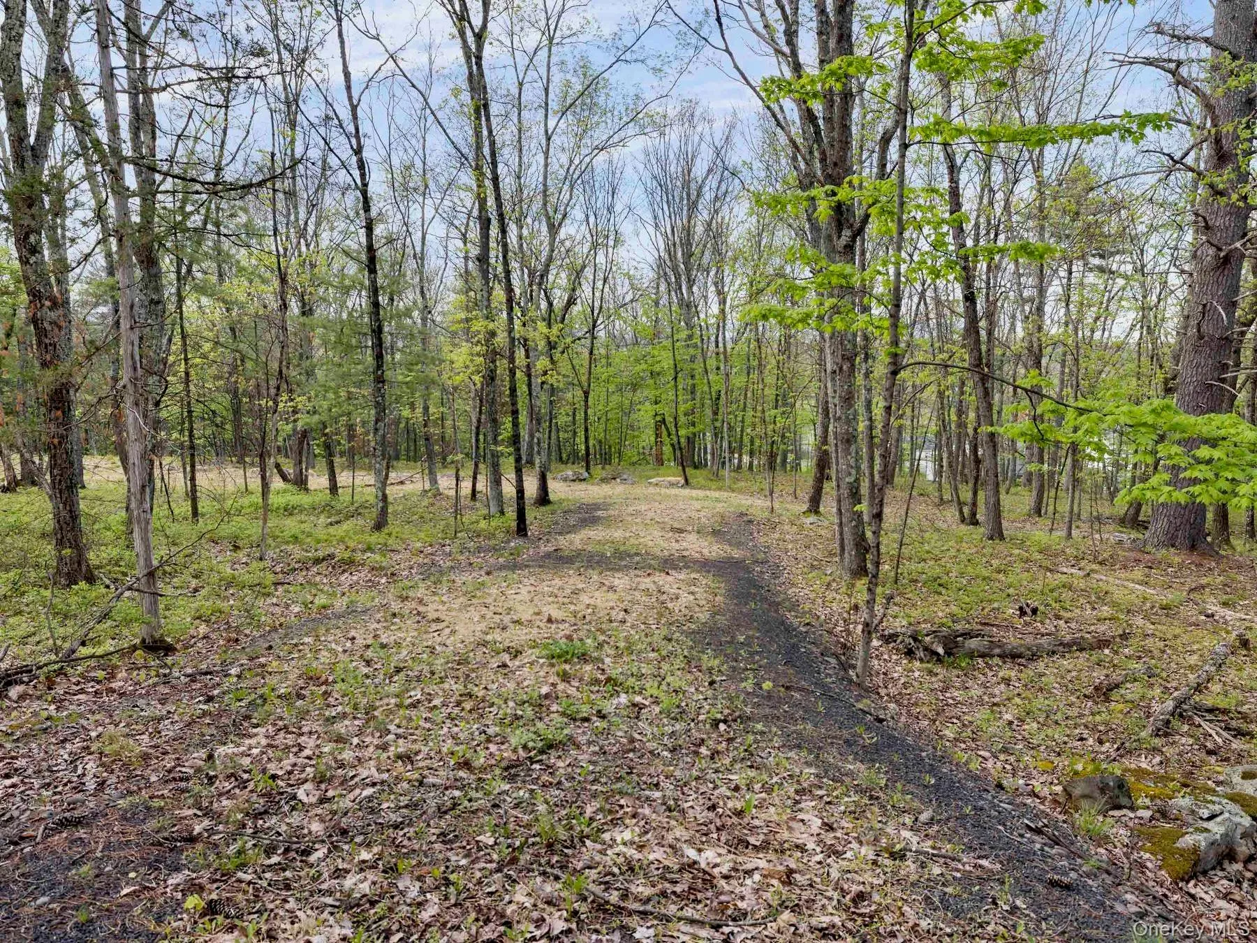 Tbd Route 44/55, Wawarsing, NY, ,Land,For Rent,Route 44/55,0,1004643 Tbd Route 44/55, Wawarsing, NY, ,Land,For Rent,Route 44/55,0,1004643
