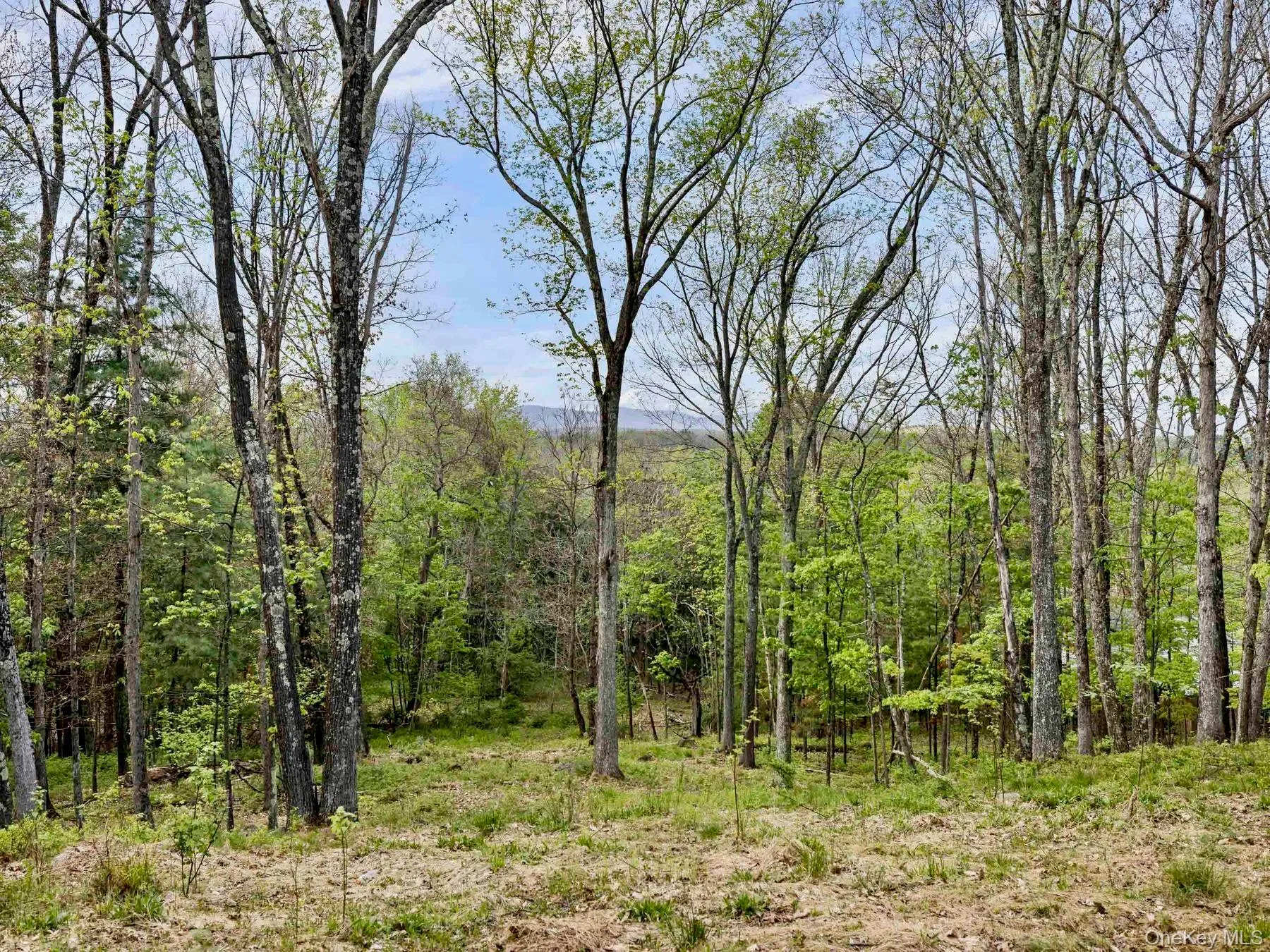 Tbd Route 44/55, Wawarsing, NY, ,Land,For Rent,Route 44/55,0,1004643 Tbd Route 44/55, Wawarsing, NY, ,Land,For Rent,Route 44/55,0,1004643