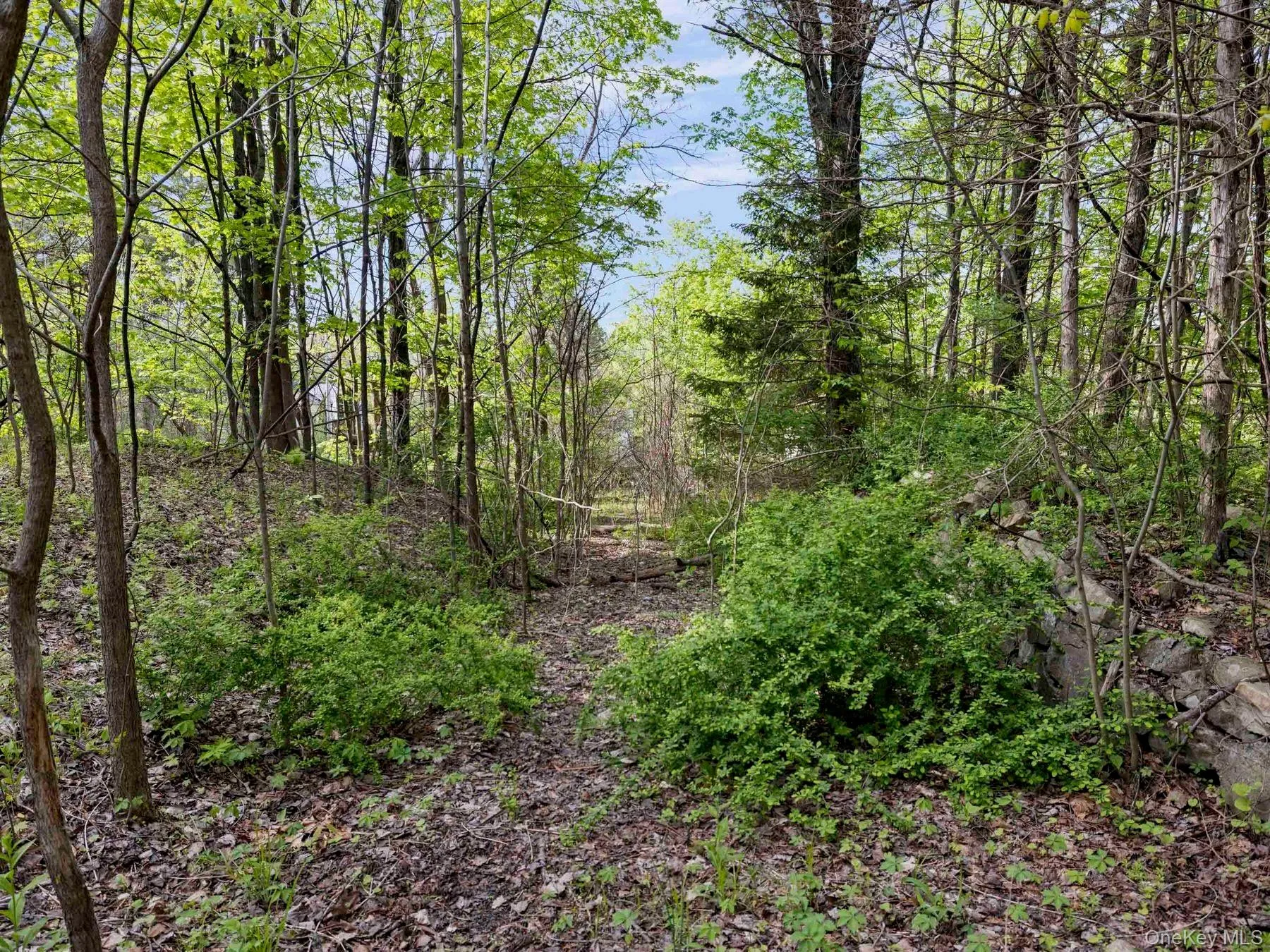 Tbd Route 44/55, Wawarsing, NY, ,Land,For Rent,Route 44/55,0,1004643 Tbd Route 44/55, Wawarsing, NY, ,Land,For Rent,Route 44/55,0,1004643