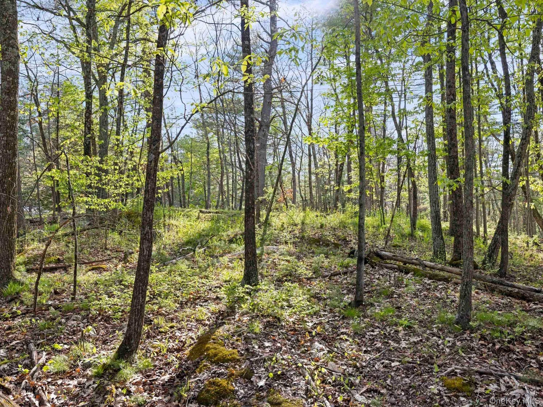Tbd Route 44/55, Wawarsing, NY, ,Land,For Rent,Route 44/55,0,1004643 Tbd Route 44/55, Wawarsing, NY, ,Land,For Rent,Route 44/55,0,1004643
