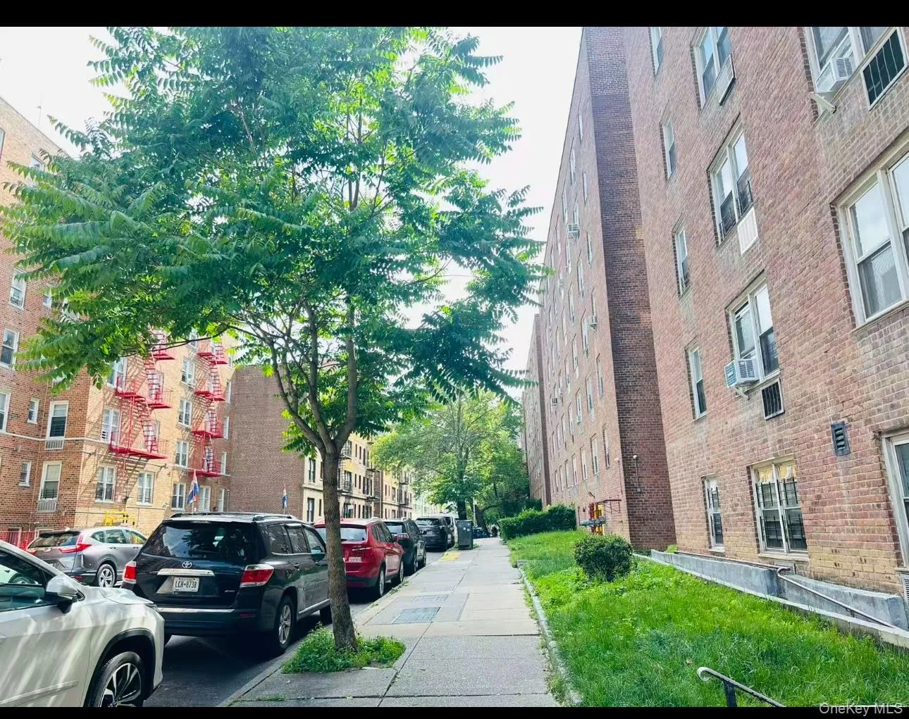 140-65 Beech Avenue, New York, NY, 3 Rooms Rooms,1 BathroomBathrooms,Residential,For Rent,Beech,0,1004651 140-65 Beech Avenue, New York, NY, 3 Rooms Rooms,1 BathroomBathrooms,Residential,For Rent,Beech,0,1004651