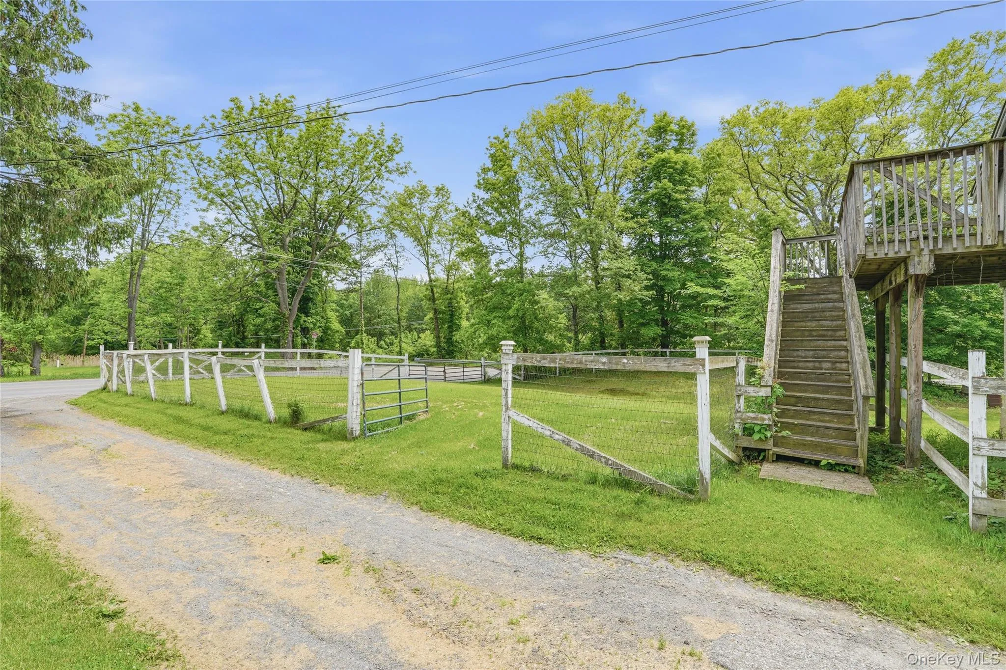 Paddock Space Next to 3rd Barn. Paddock Space Next to 3rd Barn.