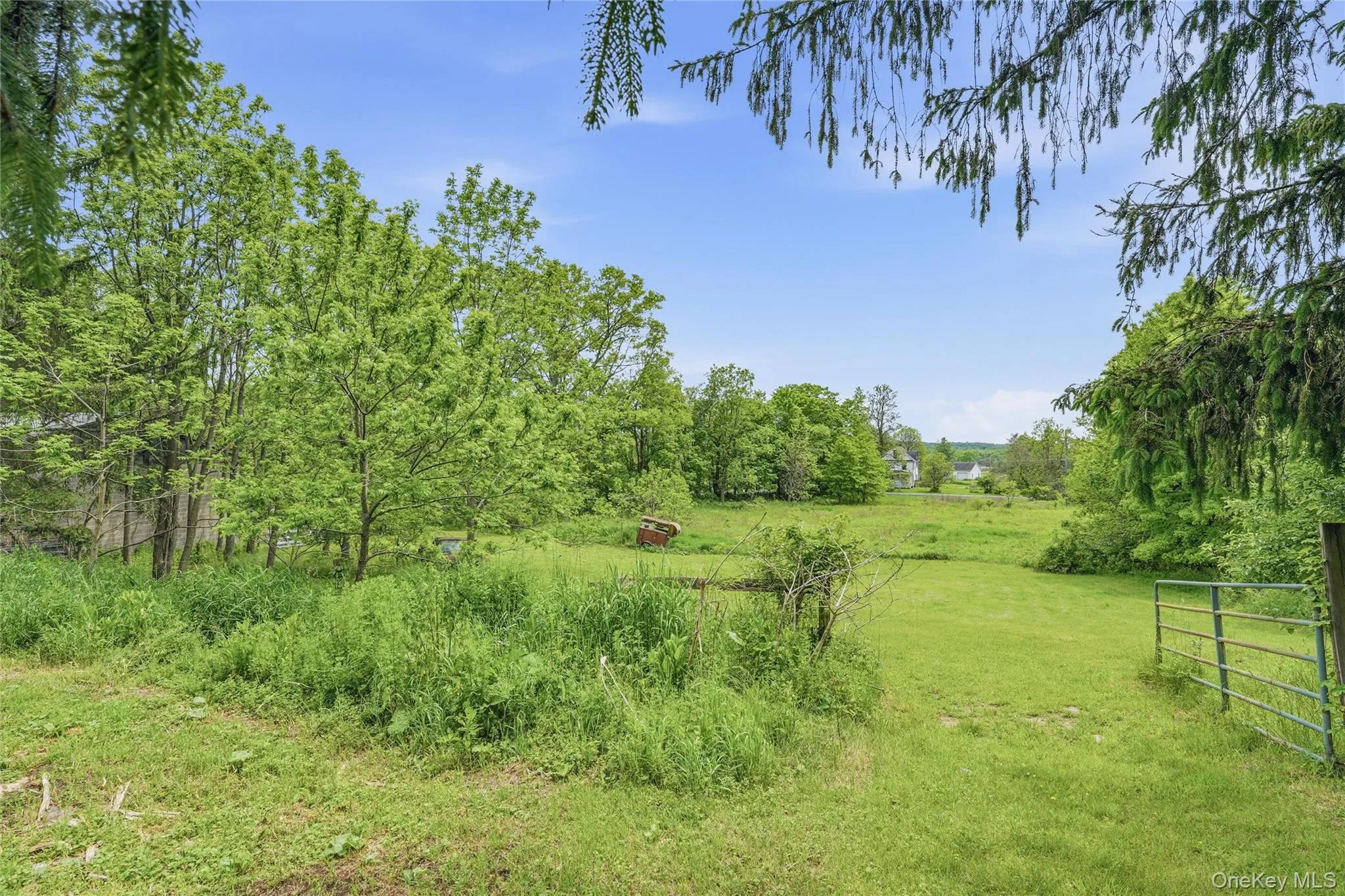 Several Spacious Paddocks. Several Spacious Paddocks.
