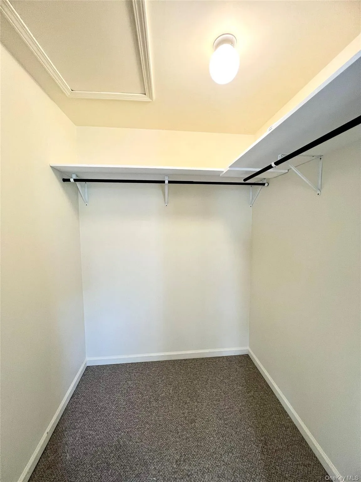 60 Peach Place, Middletown, NY, 3 Bedrooms Bedrooms, 12 Rooms Rooms,3 BathroomsBathrooms,Residential,For Rent,Peach,0,1004718 60 Peach Place, Middletown, NY, 3 Bedrooms Bedrooms, 12 Rooms Rooms,3 BathroomsBathrooms,Residential,For Rent,Peach,0,1004718