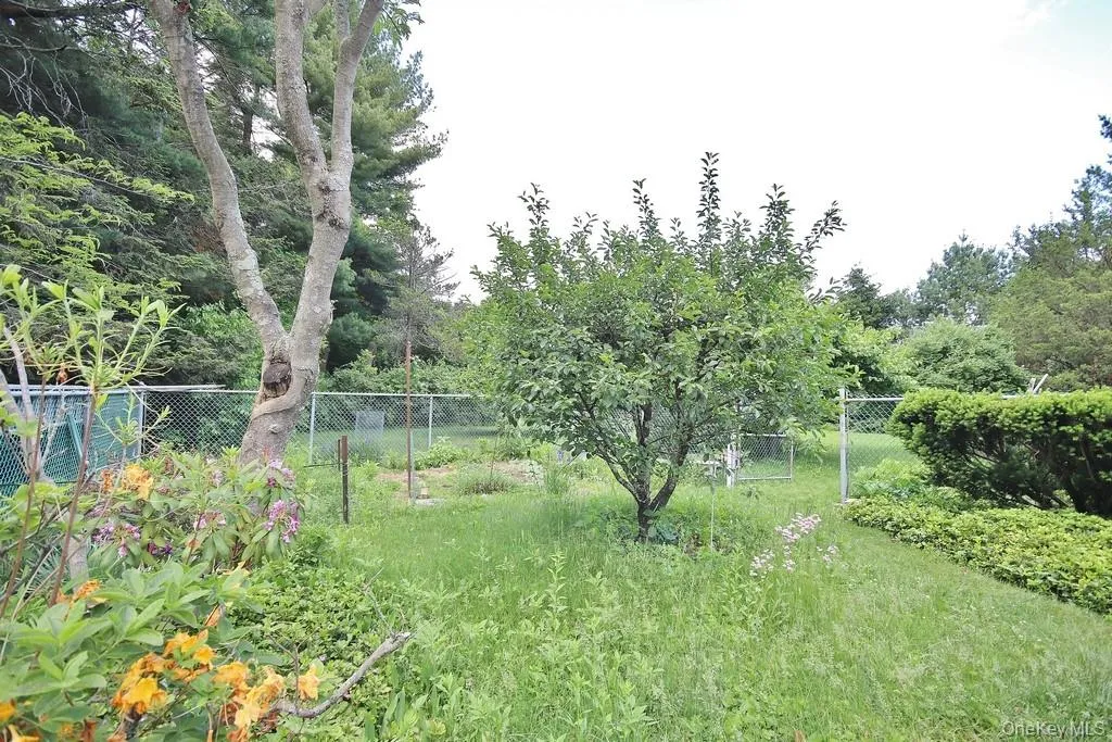 Fenced-in Dog Run-Garden Fenced-in Dog Run-Garden