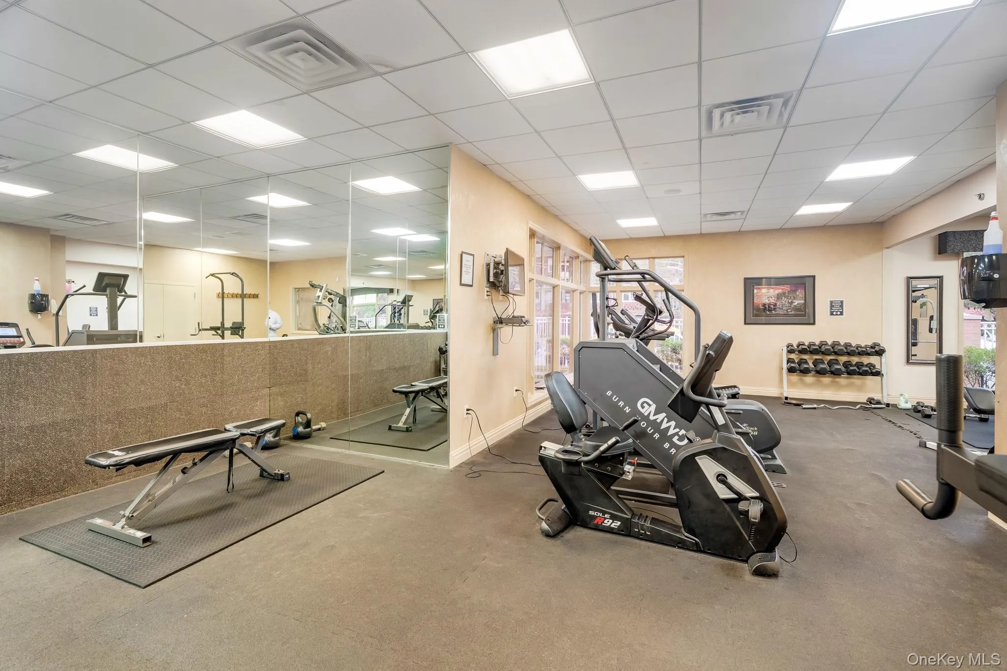 1513 Royce Street, New York, NY, 3 Bedrooms Bedrooms, 6 Rooms Rooms,2 BathroomsBathrooms,Residential,For Rent,Royce,0,1004747 1513 Royce Street, New York, NY, 3 Bedrooms Bedrooms, 6 Rooms Rooms,2 BathroomsBathrooms,Residential,For Rent,Royce,0,1004747