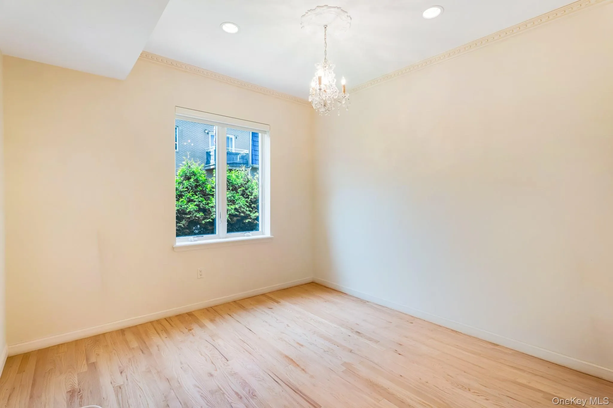 1513 Royce Street, New York, NY, 3 Bedrooms Bedrooms, 6 Rooms Rooms,2 BathroomsBathrooms,Residential,For Rent,Royce,0,1004747 1513 Royce Street, New York, NY, 3 Bedrooms Bedrooms, 6 Rooms Rooms,2 BathroomsBathrooms,Residential,For Rent,Royce,0,1004747