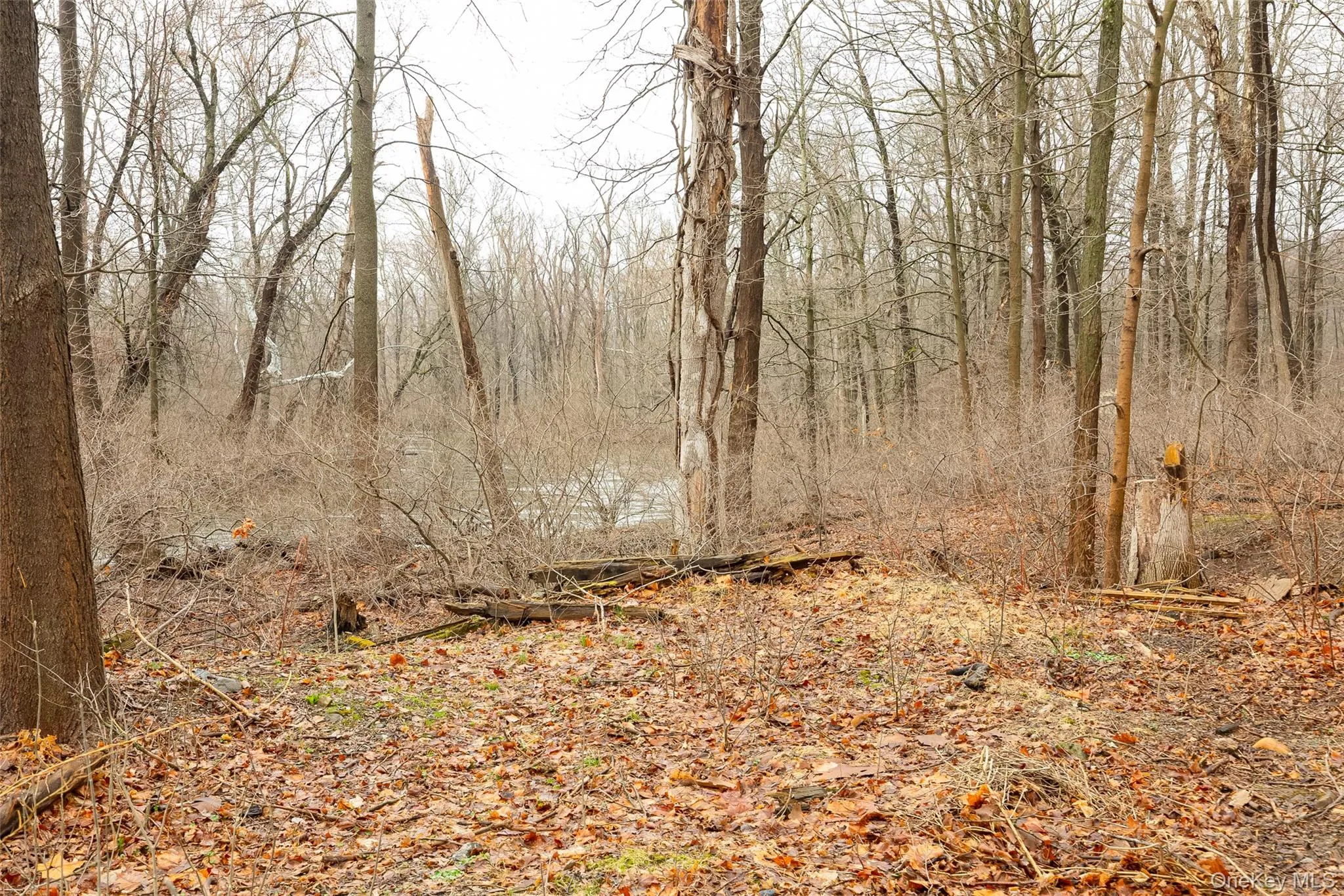 21 Old Town Road, Fishkill, NY, 3 Bedrooms Bedrooms, 12 Rooms Rooms,3 BathroomsBathrooms,Residential,For Rent,Old Town,0,1004846 21 Old Town Road, Fishkill, NY, 3 Bedrooms Bedrooms, 12 Rooms Rooms,3 BathroomsBathrooms,Residential,For Rent,Old Town,0,1004846