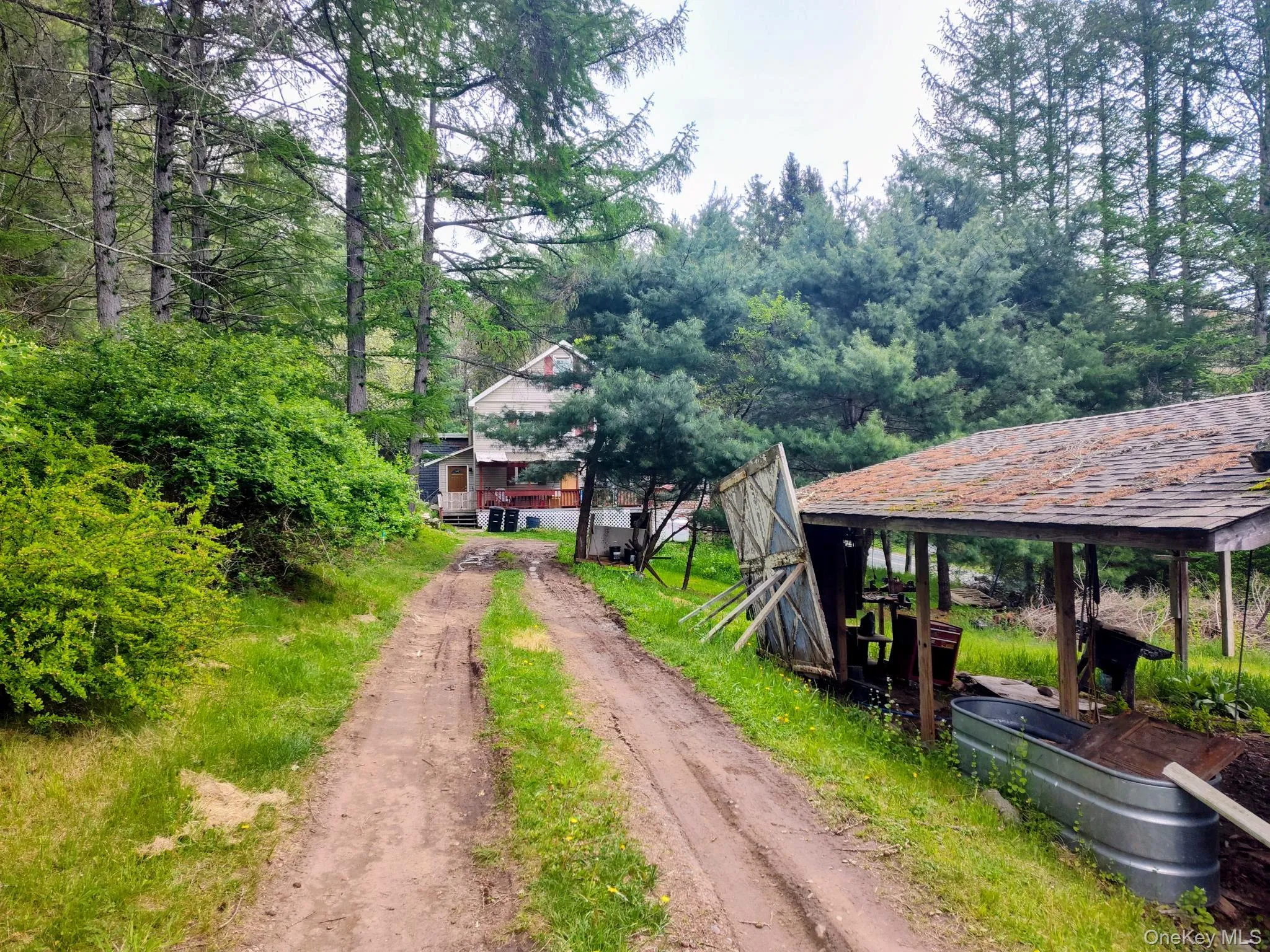 993 Plank Road, Forestburgh, NY, 3 Bedrooms Bedrooms, 6 Rooms Rooms,1 BathroomBathrooms,Residential,For Rent,Plank,0,1004849 993 Plank Road, Forestburgh, NY, 3 Bedrooms Bedrooms, 6 Rooms Rooms,1 BathroomBathrooms,Residential,For Rent,Plank,0,1004849