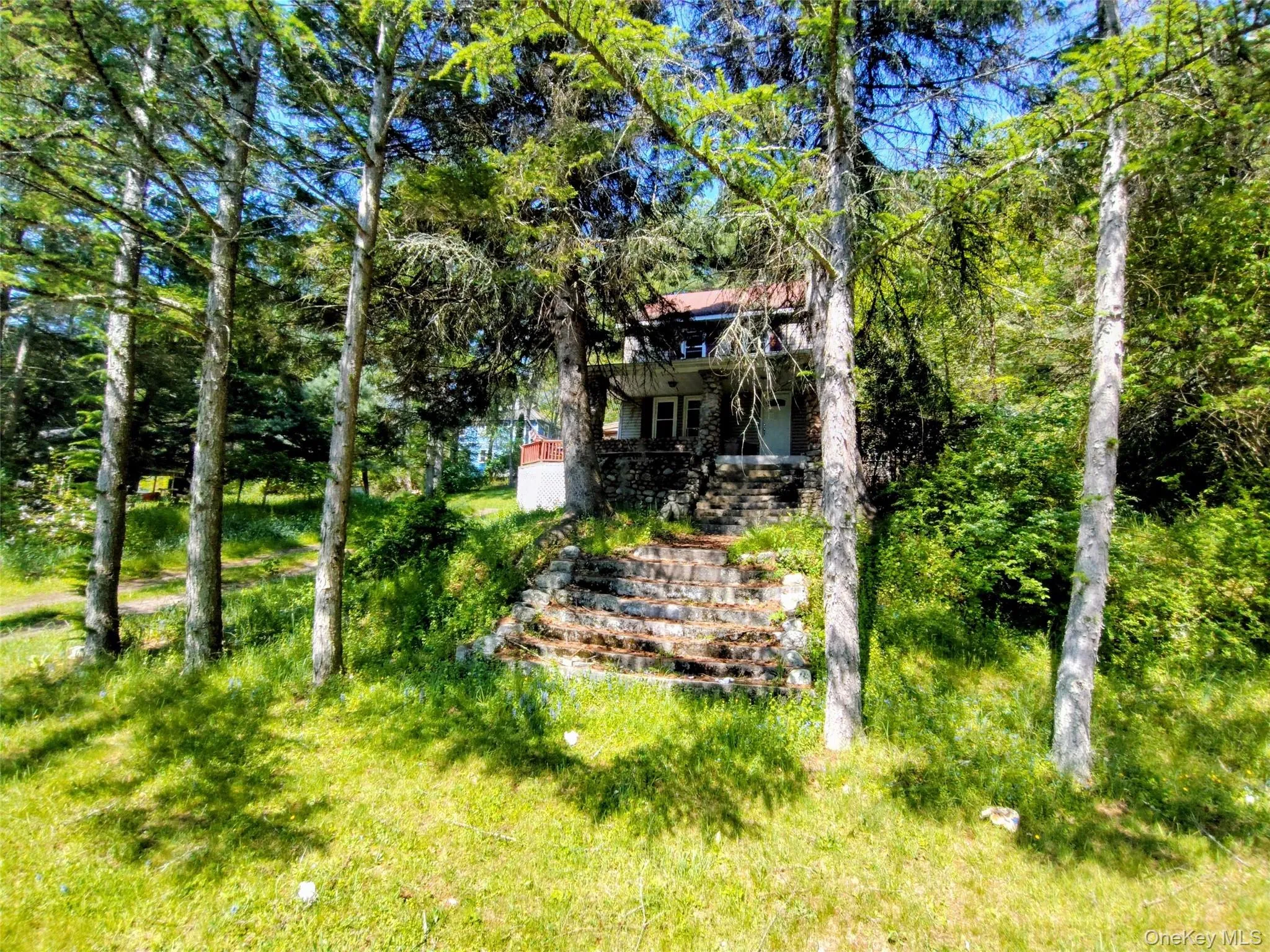 993 Plank Road, Forestburgh, NY, 3 Bedrooms Bedrooms, 6 Rooms Rooms,1 BathroomBathrooms,Residential,For Rent,Plank,0,1004849 993 Plank Road, Forestburgh, NY, 3 Bedrooms Bedrooms, 6 Rooms Rooms,1 BathroomBathrooms,Residential,For Rent,Plank,0,1004849
