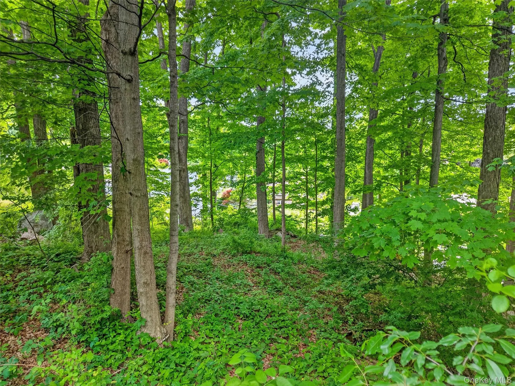 154 Gallows Hill Road, Philipstown, NY, ,Land,For Rent,Gallows Hill,0,1004880 154 Gallows Hill Road, Philipstown, NY, ,Land,For Rent,Gallows Hill,0,1004880