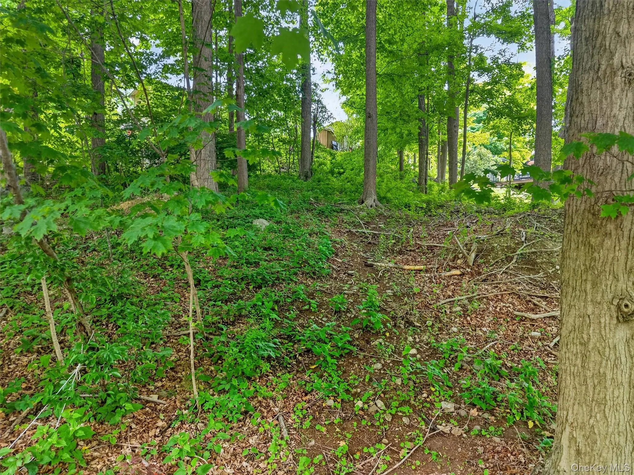 154 Gallows Hill Road, Philipstown, NY, ,Land,For Rent,Gallows Hill,0,1004880 154 Gallows Hill Road, Philipstown, NY, ,Land,For Rent,Gallows Hill,0,1004880