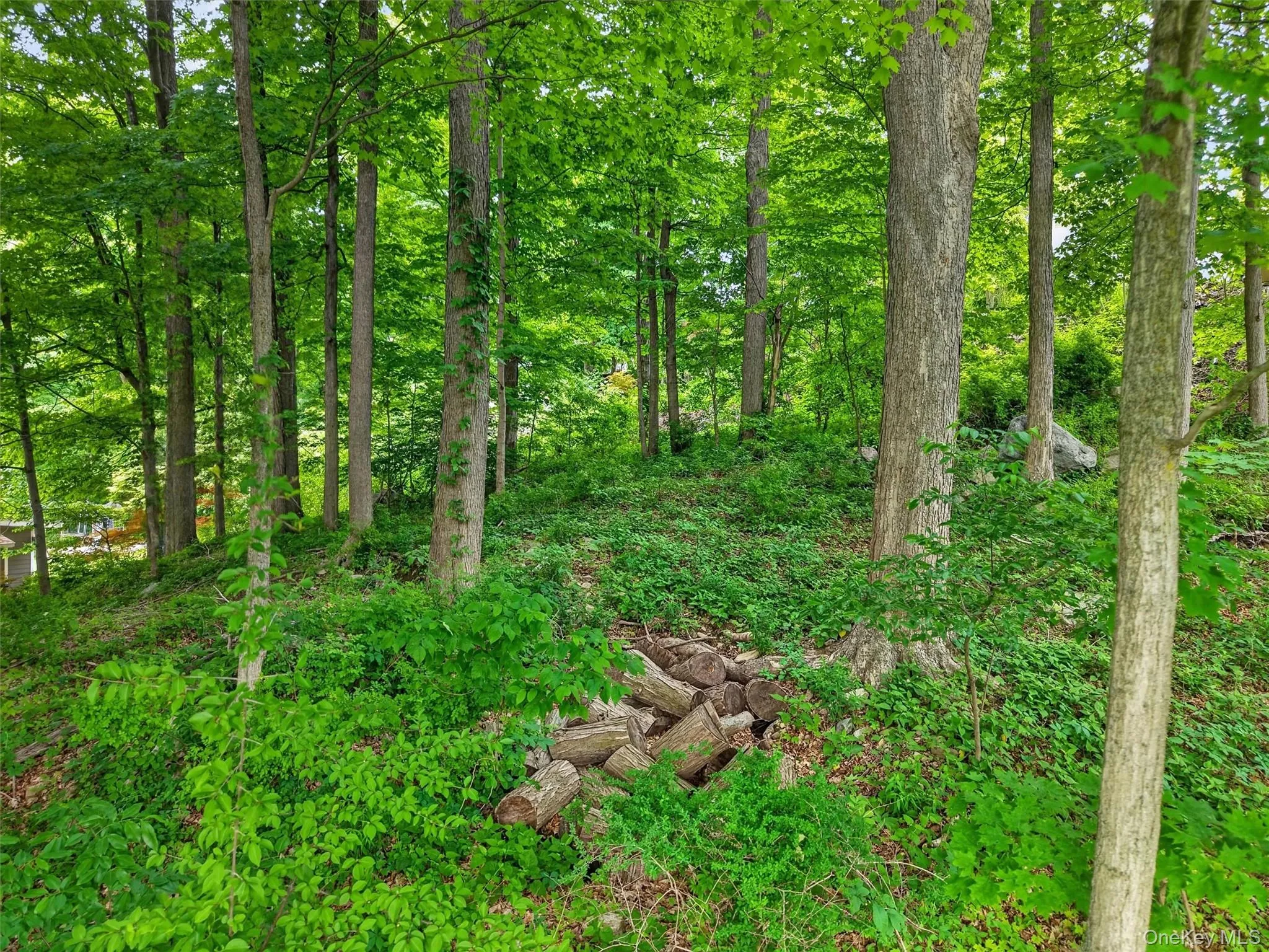 154 Gallows Hill Road, Philipstown, NY, ,Land,For Rent,Gallows Hill,0,1004880 154 Gallows Hill Road, Philipstown, NY, ,Land,For Rent,Gallows Hill,0,1004880