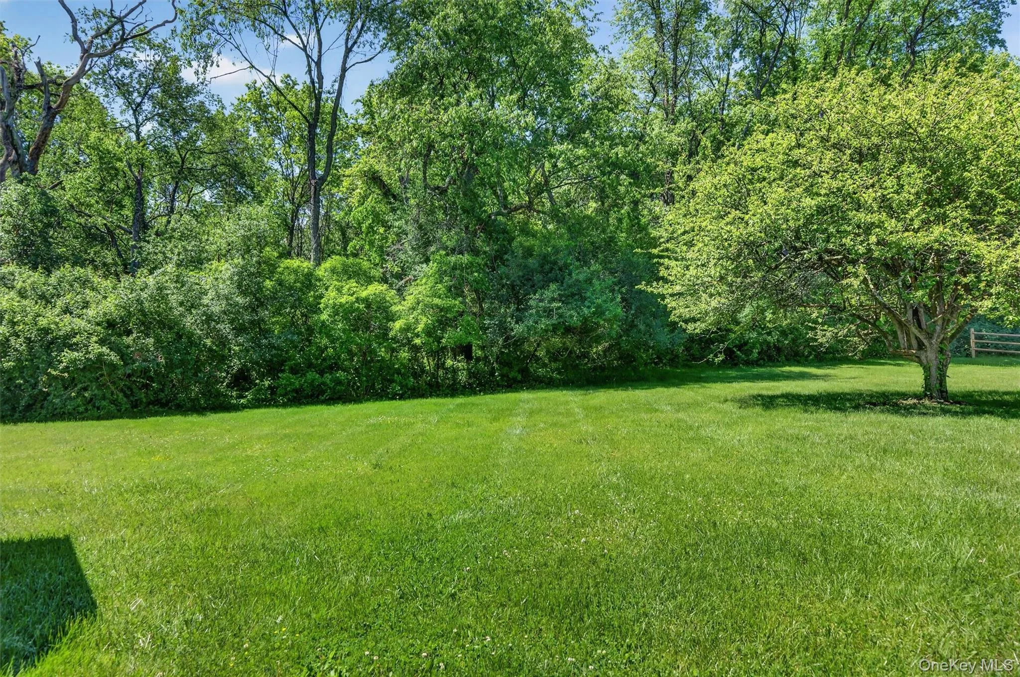 Beautiful Yard Great for outdoor activities Beautiful Yard Great for outdoor activities