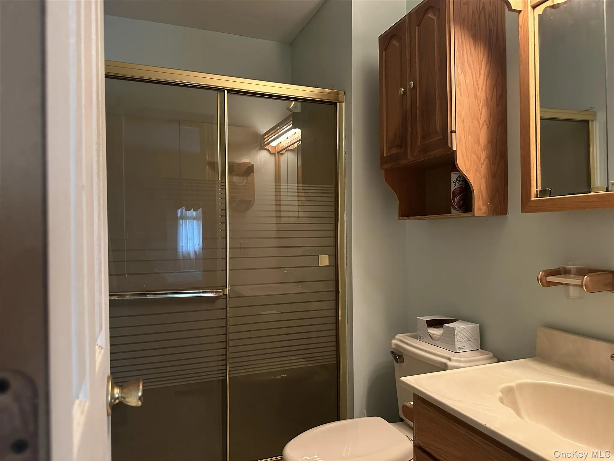 En-suite in the Main Bedroom with Showerr En-suite in the Main Bedroom with Showerr
