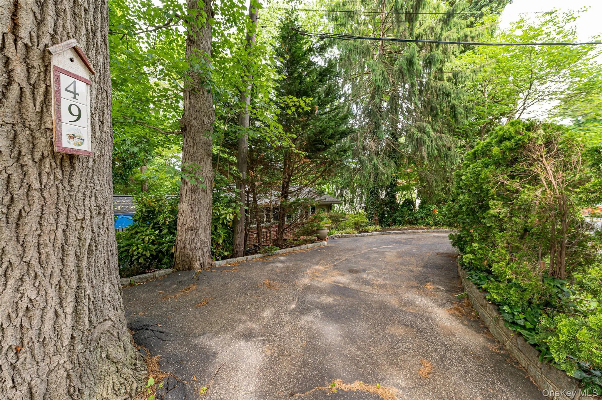 49 Elwood Road, Huntington, NY, 2 Bedrooms Bedrooms, 6 Rooms Rooms,1 BathroomBathrooms,Residential,For Rent,Elwood,0,1004932 49 Elwood Road, Huntington, NY, 2 Bedrooms Bedrooms, 6 Rooms Rooms,1 BathroomBathrooms,Residential,For Rent,Elwood,0,1004932