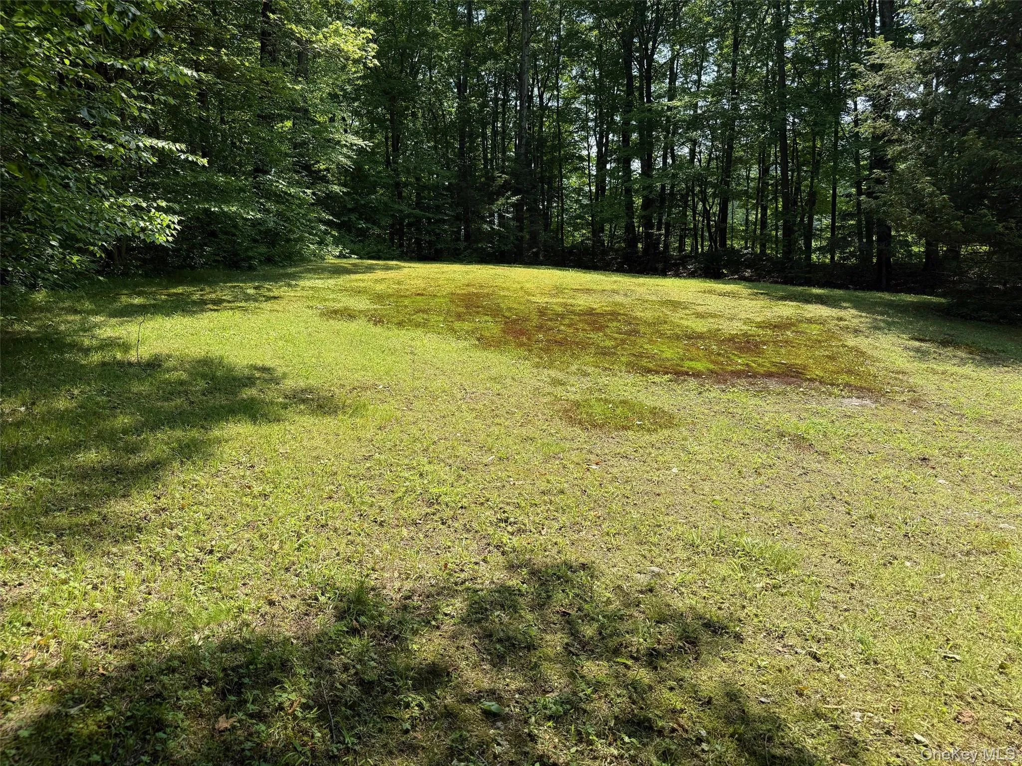 230 Cooper, North East, NY, 3 Bedrooms Bedrooms, 7 Rooms Rooms,3 BathroomsBathrooms,Residential,For Rent,Cooper,0,1004984 230 Cooper, North East, NY, 3 Bedrooms Bedrooms, 7 Rooms Rooms,3 BathroomsBathrooms,Residential,For Rent,Cooper,0,1004984
