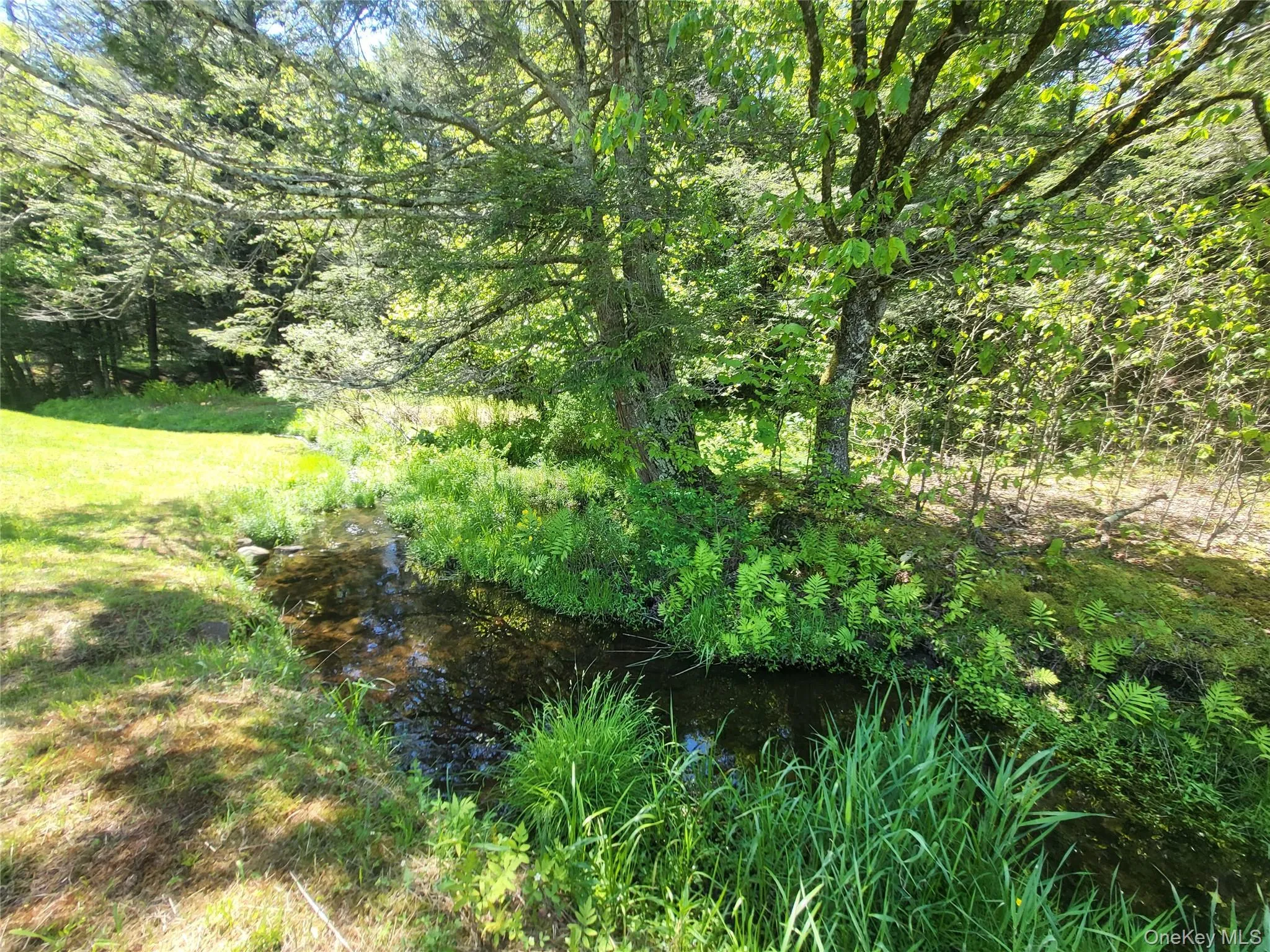 Creek Creek