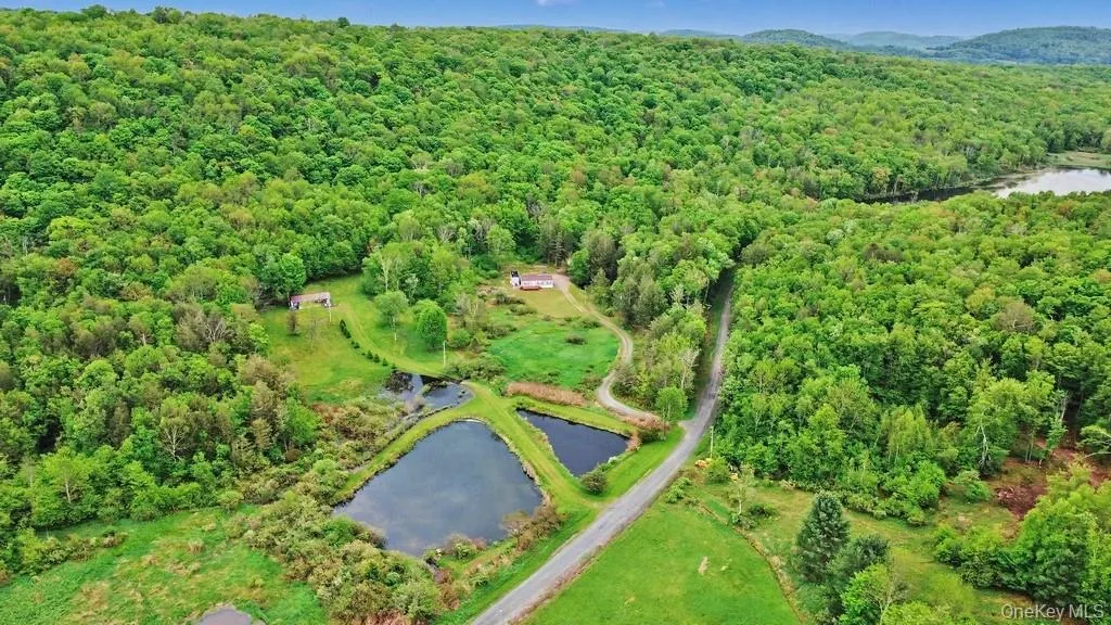 308 William Brown Road, Fremont, NY, 3 Bedrooms Bedrooms, 9 Rooms Rooms,2 BathroomsBathrooms,Residential,For Rent,William Brown,0,1004997 308 William Brown Road, Fremont, NY, 3 Bedrooms Bedrooms, 9 Rooms Rooms,2 BathroomsBathrooms,Residential,For Rent,William Brown,0,1004997