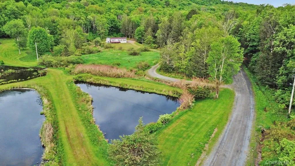 308 William Brown Road, Fremont, NY, 3 Bedrooms Bedrooms, 9 Rooms Rooms,2 BathroomsBathrooms,Residential,For Rent,William Brown,0,1004997 308 William Brown Road, Fremont, NY, 3 Bedrooms Bedrooms, 9 Rooms Rooms,2 BathroomsBathrooms,Residential,For Rent,William Brown,0,1004997