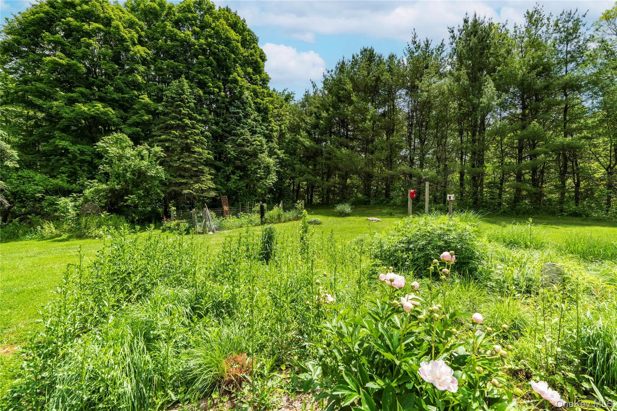 Property has Mature Trees, Landscaped Gardens with Perennial Flowers and Bushes Property has Mature Trees, Landscaped Gardens with Perennial Flowers and Bushes