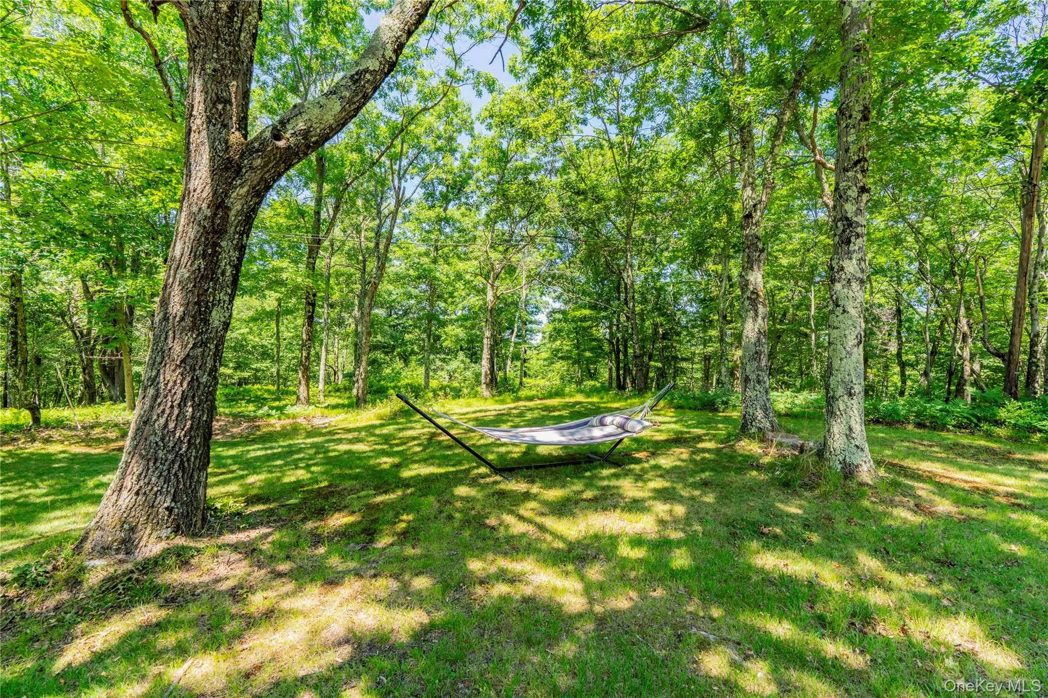 Shaded Hammock Surrounded by Lawn & Mature Trees Shaded Hammock Surrounded by Lawn & Mature Trees