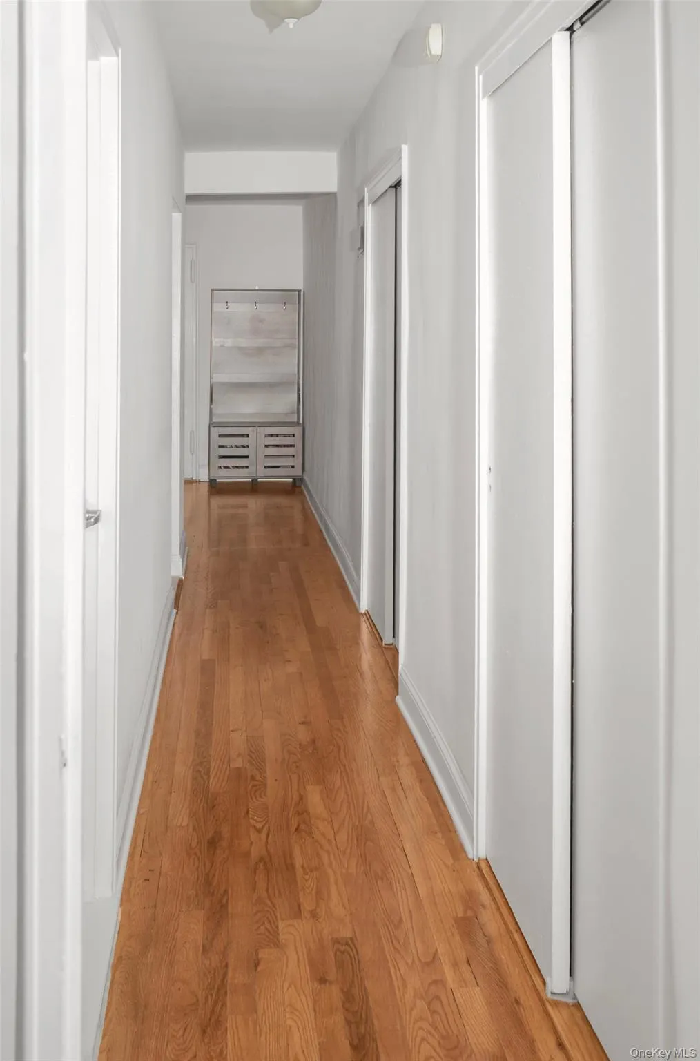 3500 Snyder Avenue, New York, NY, 1 Bedroom Bedrooms, 3 Rooms Rooms,1 BathroomBathrooms,Residential,For Rent,Snyder,0,1005040 3500 Snyder Avenue, New York, NY, 1 Bedroom Bedrooms, 3 Rooms Rooms,1 BathroomBathrooms,Residential,For Rent,Snyder,0,1005040