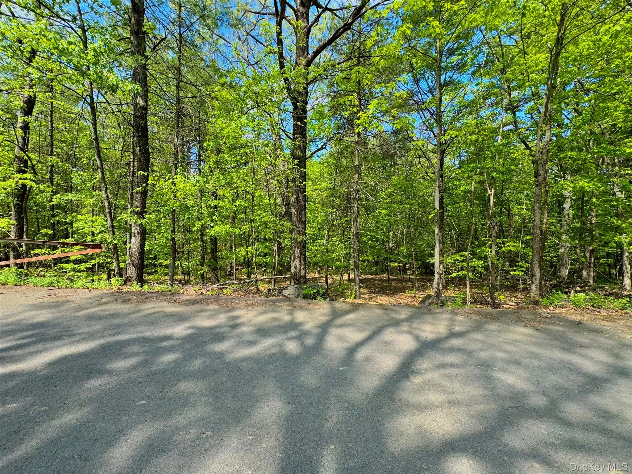 TBD Bill Matter Road, Coxsackie, NY, ,Land,For Rent,Bill Matter,0,1005044 TBD Bill Matter Road, Coxsackie, NY, ,Land,For Rent,Bill Matter,0,1005044