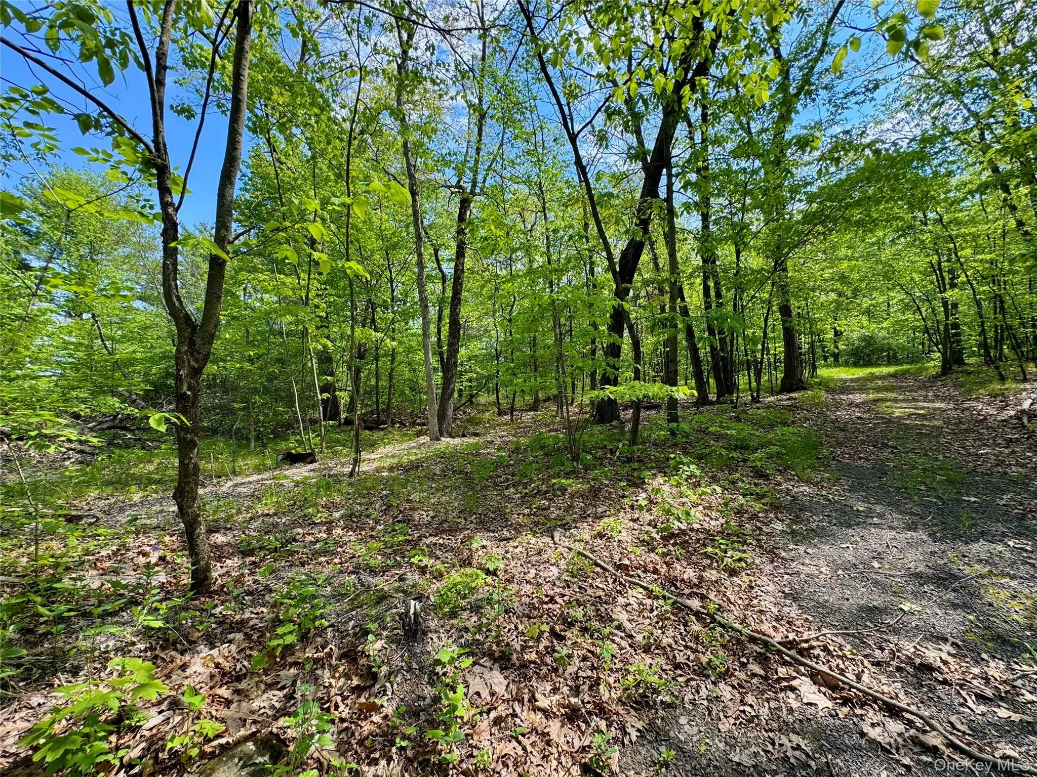 TBD Bill Matter Road, Coxsackie, NY, ,Land,For Rent,Bill Matter,0,1005044 TBD Bill Matter Road, Coxsackie, NY, ,Land,For Rent,Bill Matter,0,1005044