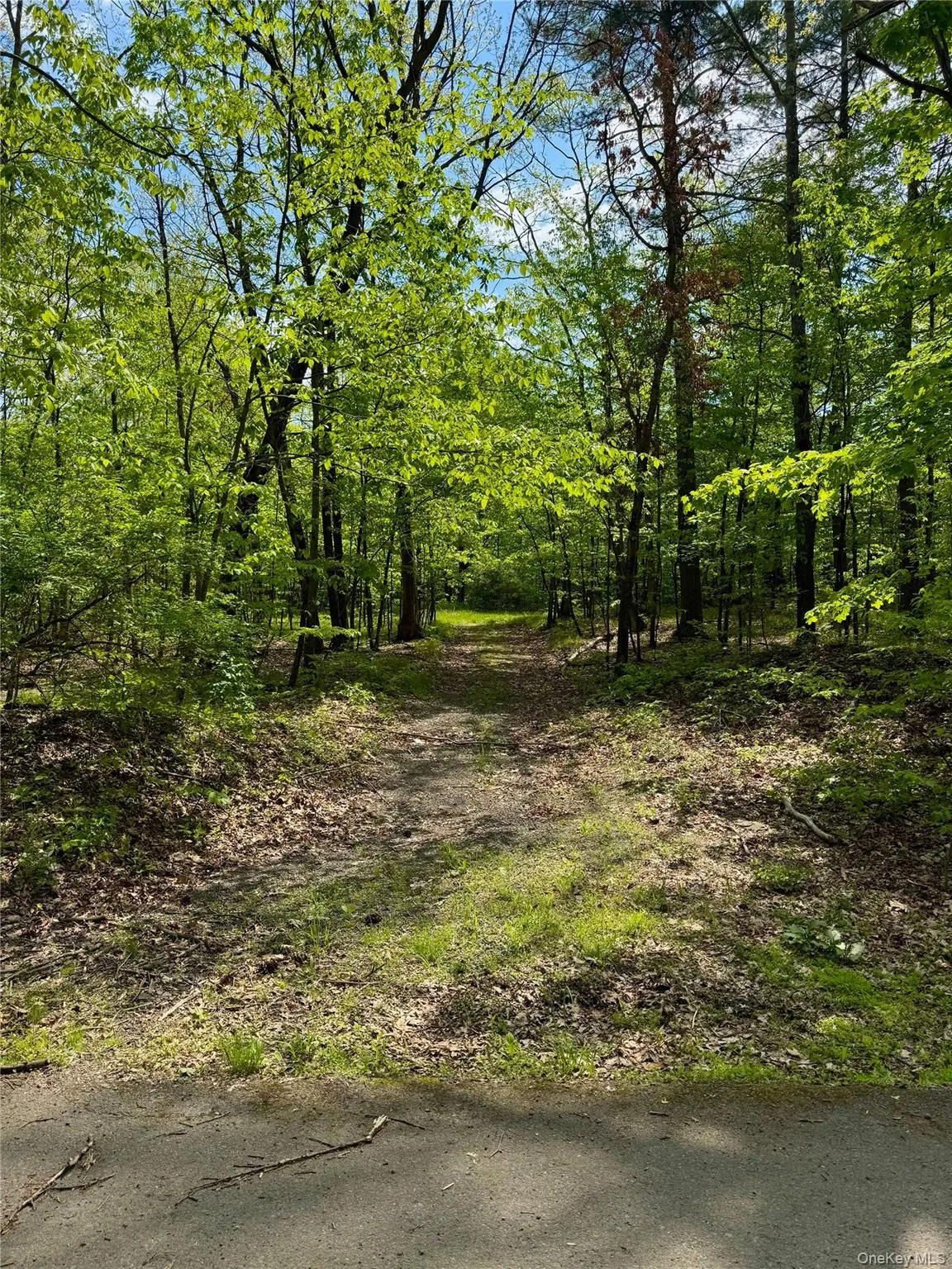 TBD Bill Matter Road, Coxsackie, NY, ,Land,For Rent,Bill Matter,0,1005044 TBD Bill Matter Road, Coxsackie, NY, ,Land,For Rent,Bill Matter,0,1005044
