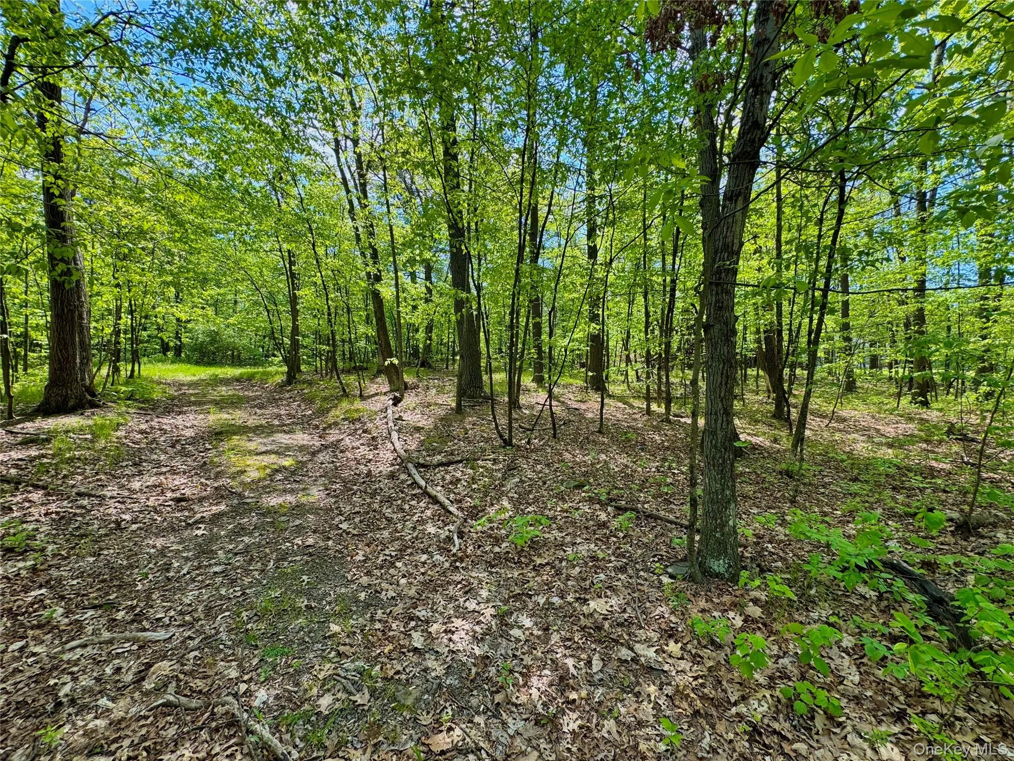 TBD Bill Matter Road, Coxsackie, NY, ,Land,For Rent,Bill Matter,0,1005044 TBD Bill Matter Road, Coxsackie, NY, ,Land,For Rent,Bill Matter,0,1005044