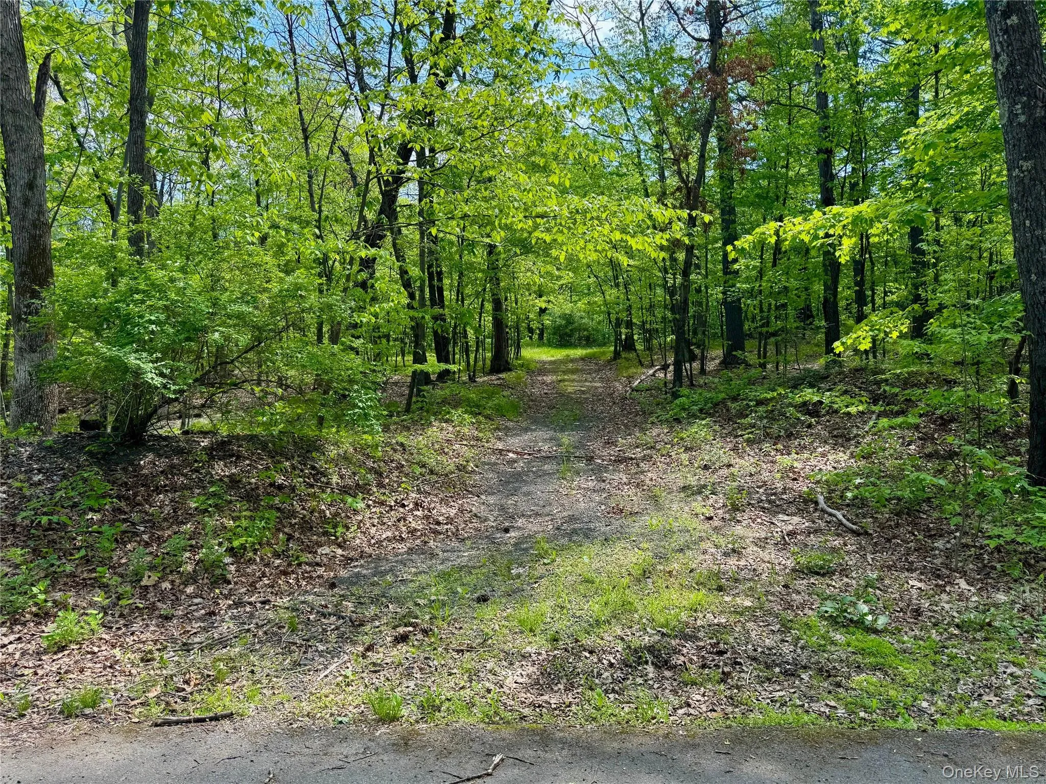 TBD Bill Matter Road, Coxsackie, NY, ,Land,For Rent,Bill Matter,0,1005044 TBD Bill Matter Road, Coxsackie, NY, ,Land,For Rent,Bill Matter,0,1005044